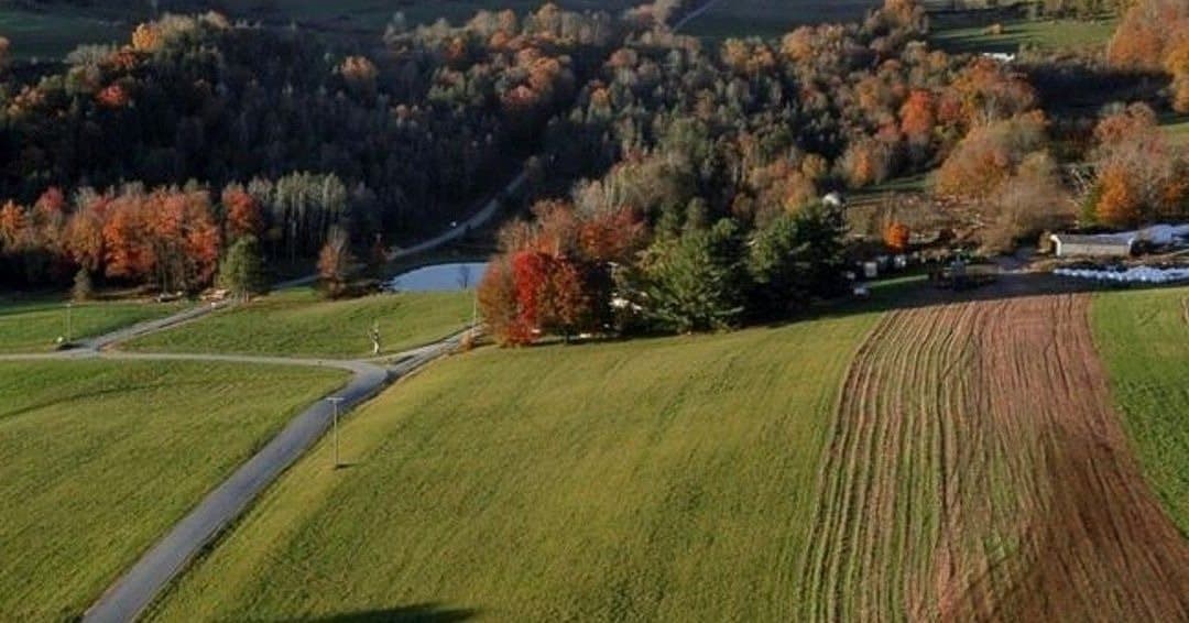 102 Radio Tower Road — photo 3