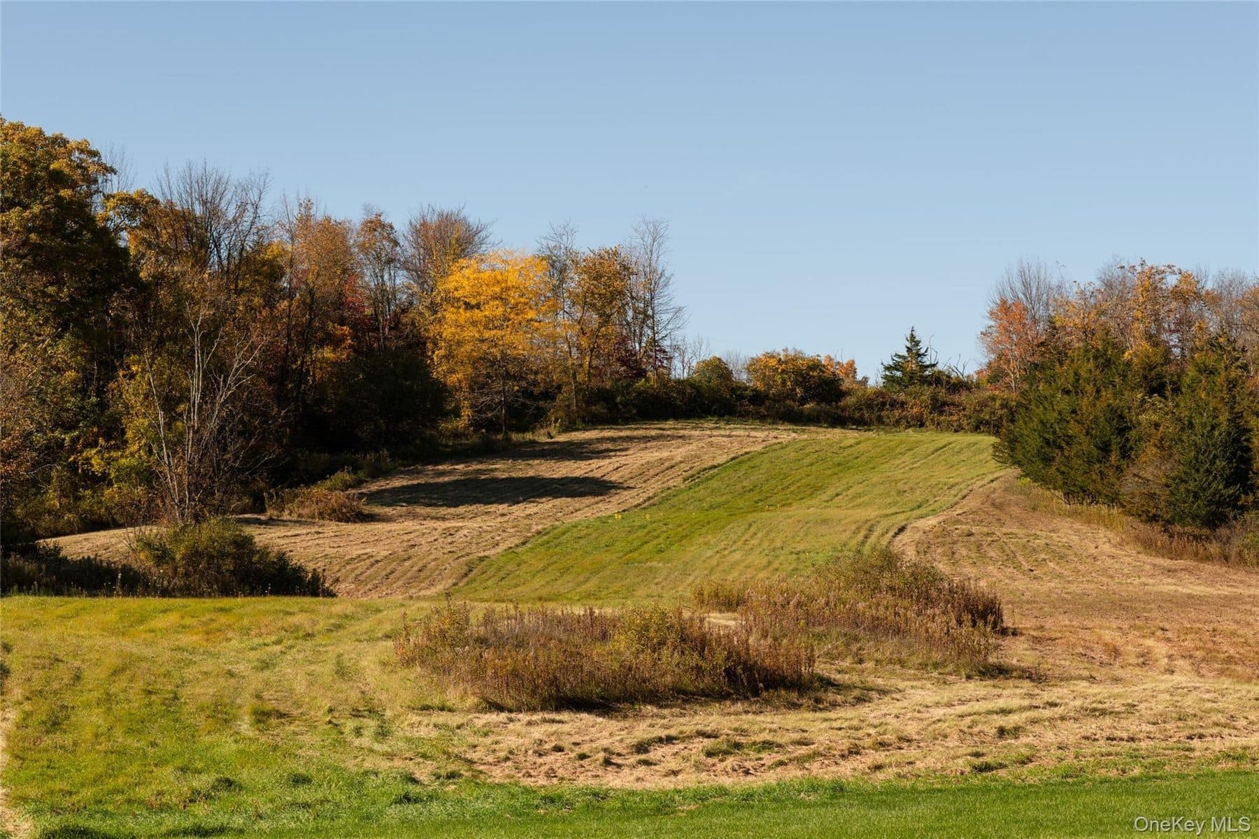155 Milan Hollow Road — photo 3
