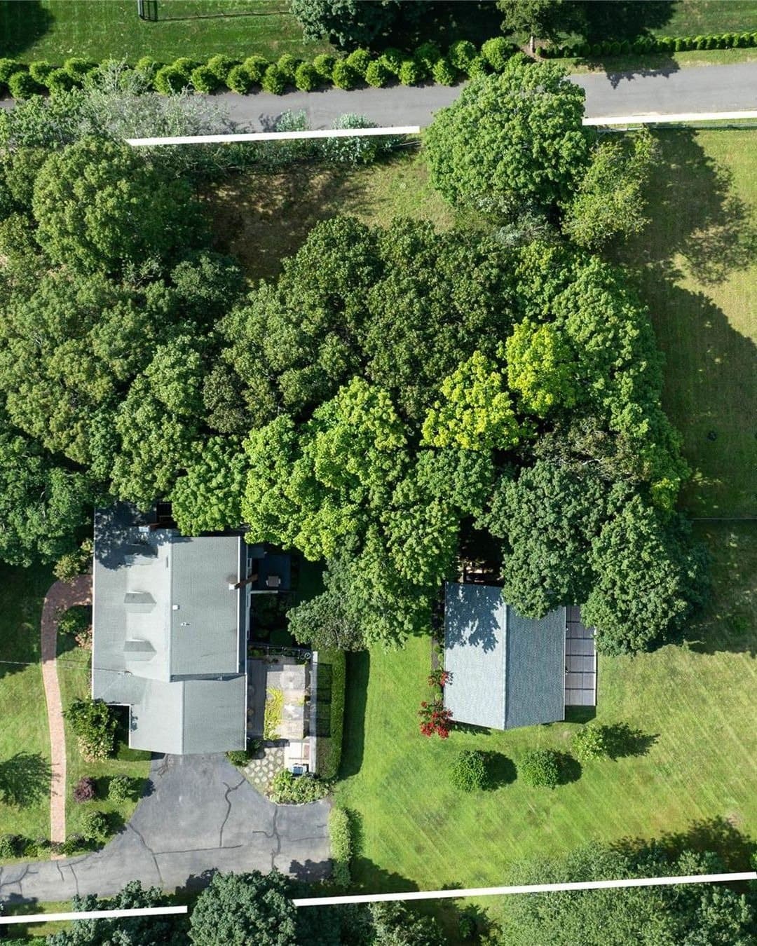 184 Phillips Lane — photo 10