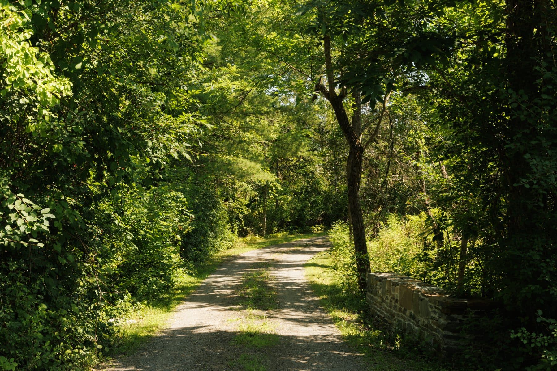 Walker's Mill — photo 24