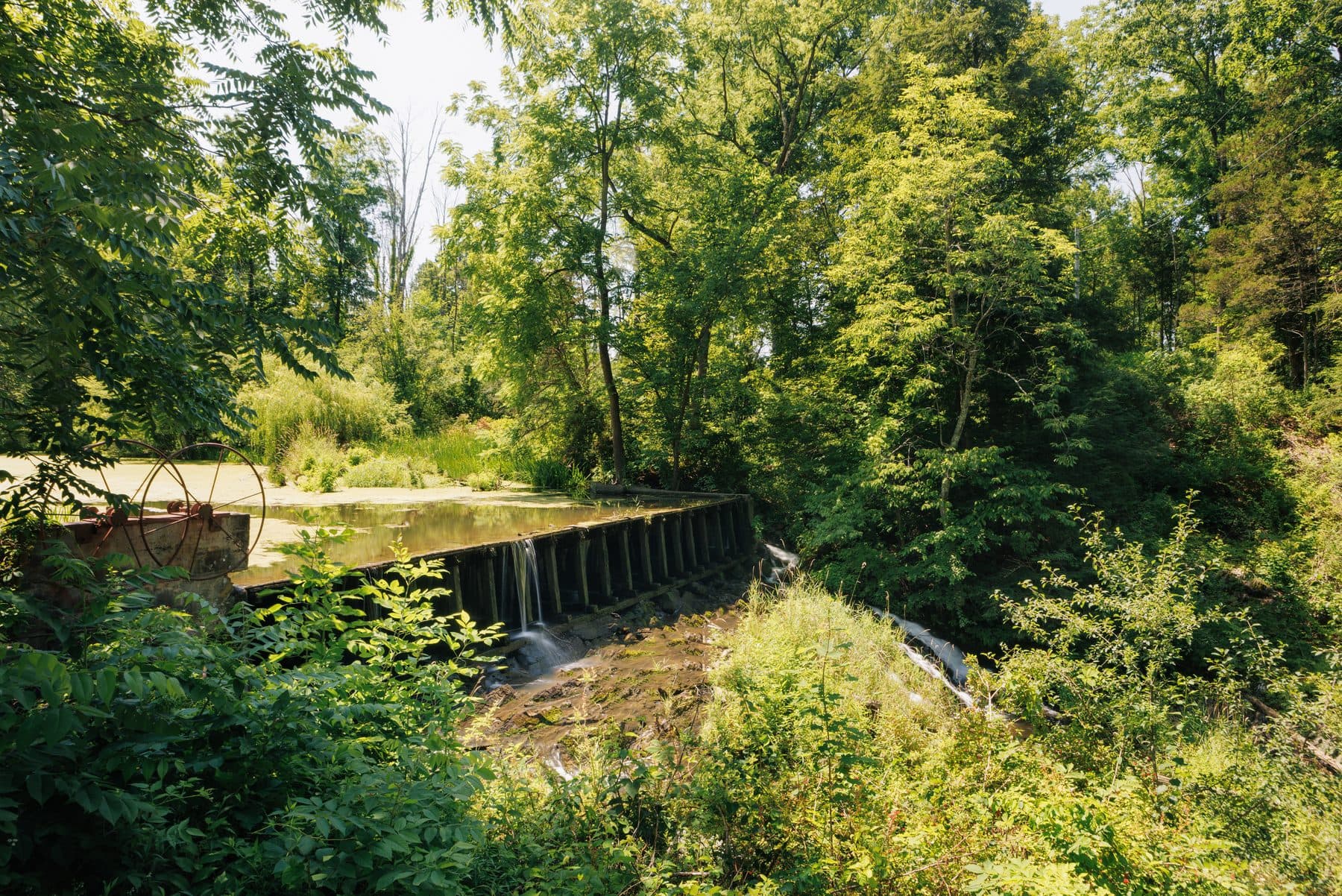 Walker's Mill — photo 32