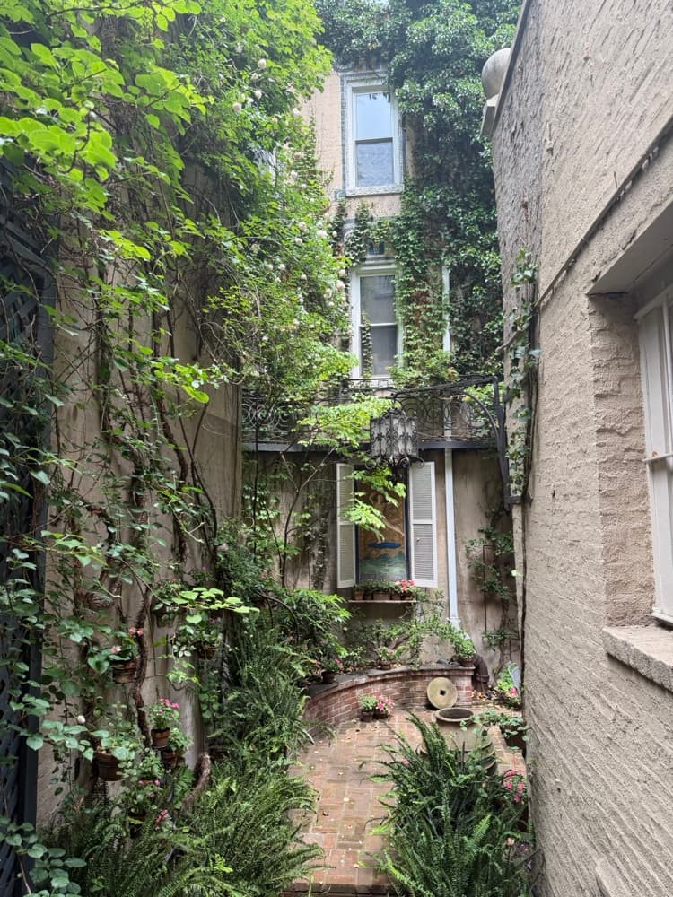 203 Prince Street — photo 3