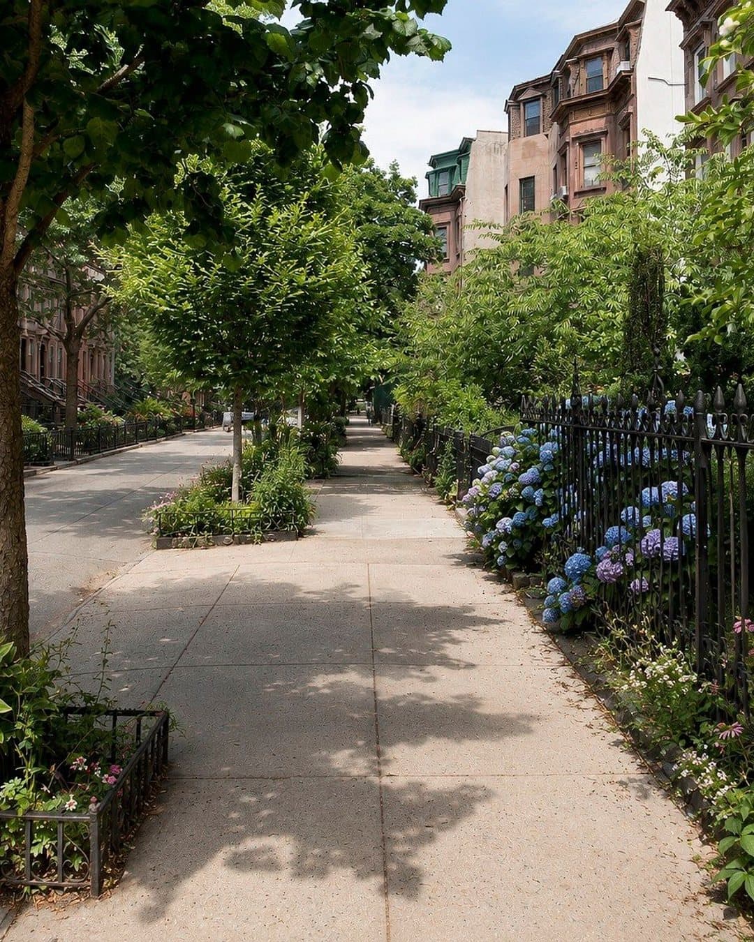 212 Lefferts Place — photo 12