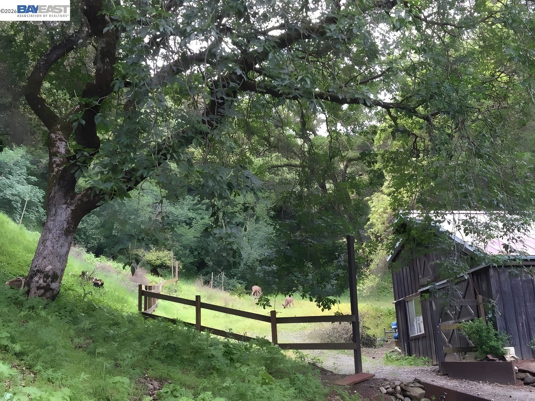 270 Kilkare Road — photo 8