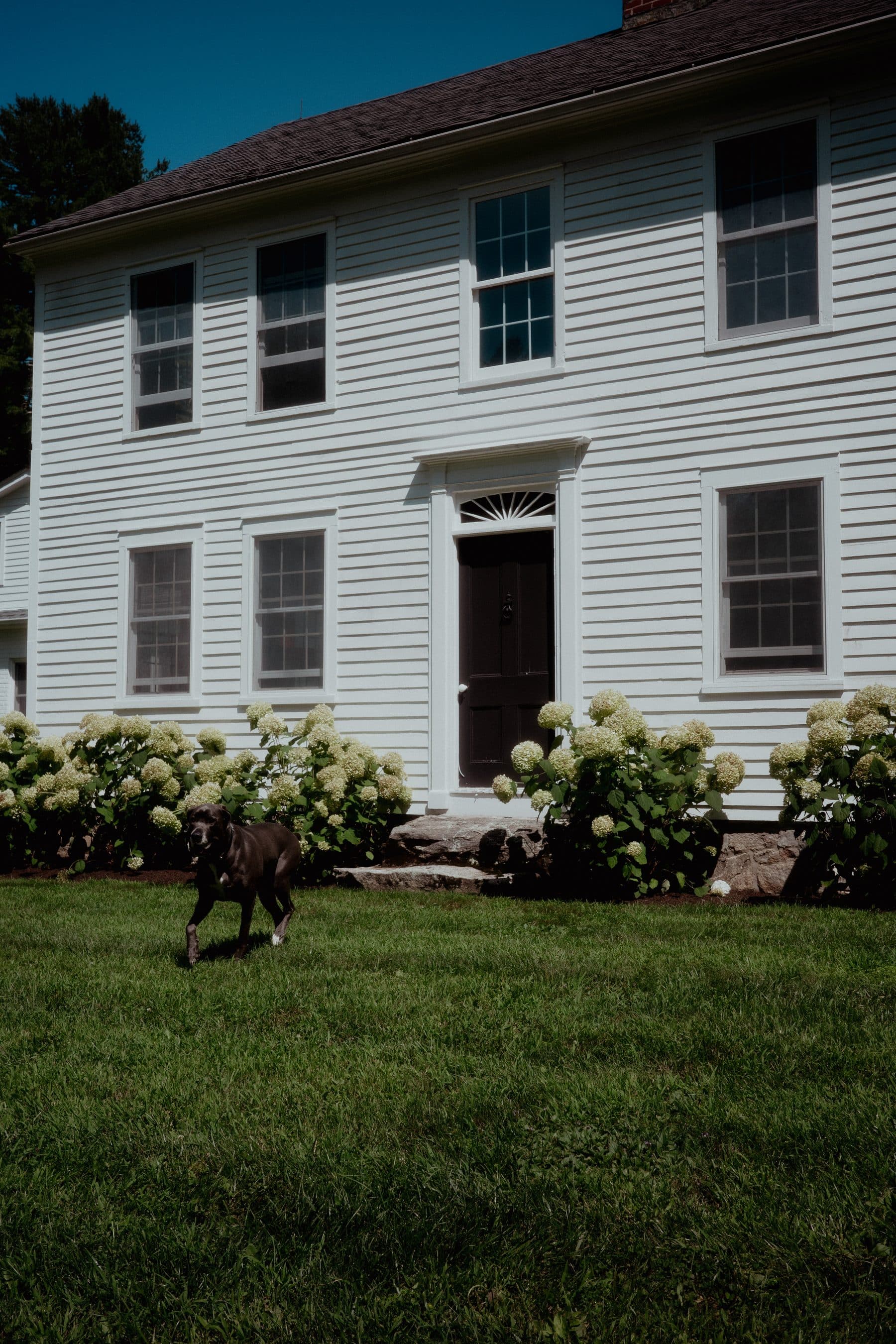 Fountainhead — photo 26