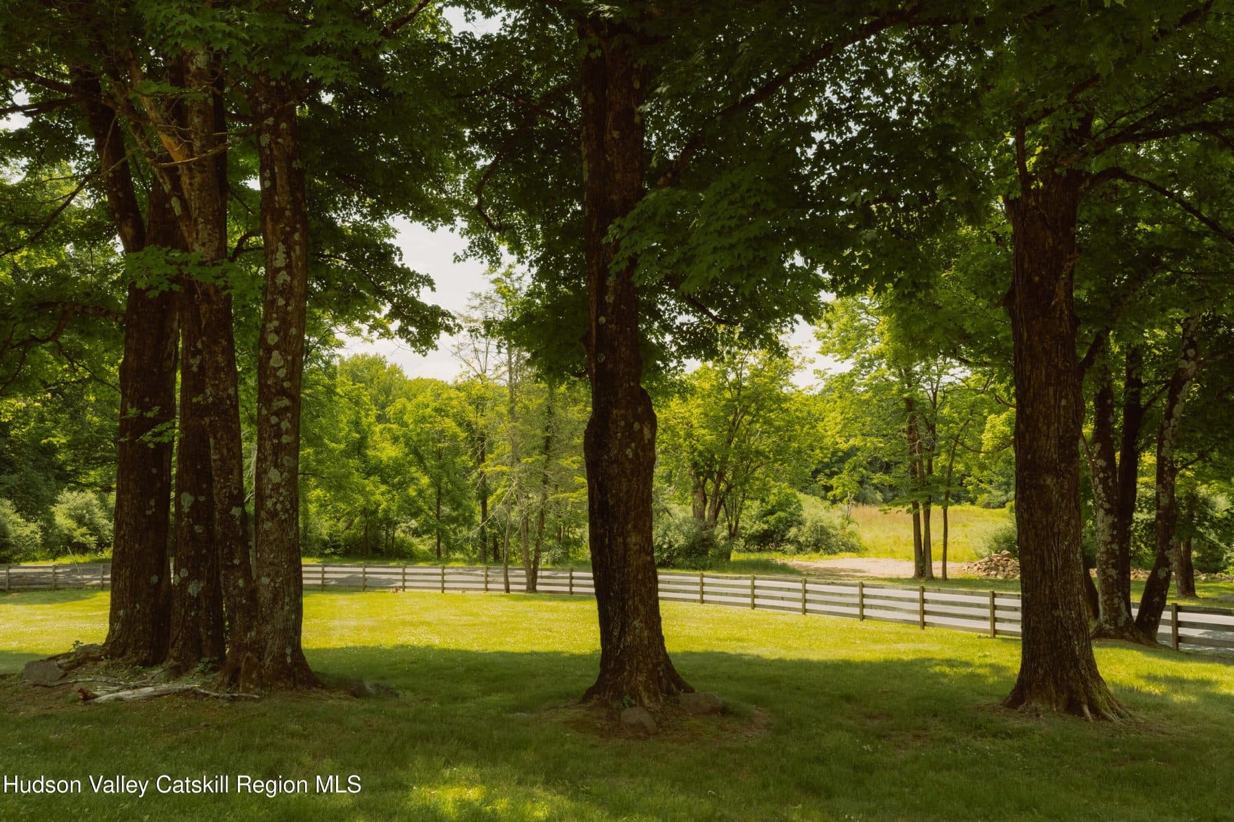 31 Upper Whitfield Road — photo 38