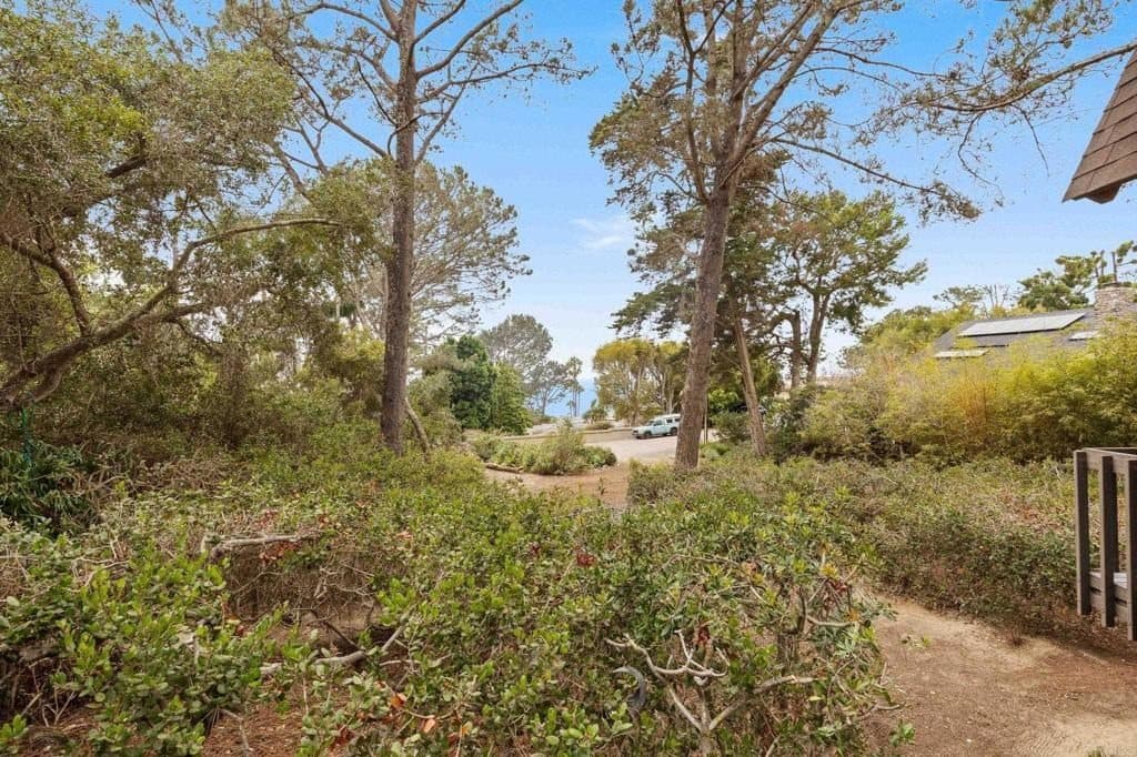 343 Serpentine Drive — photo 39