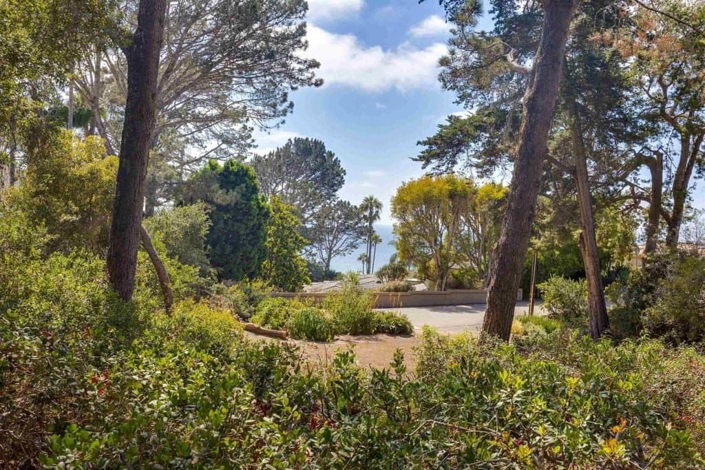 343 Serpentine Drive — photo 48