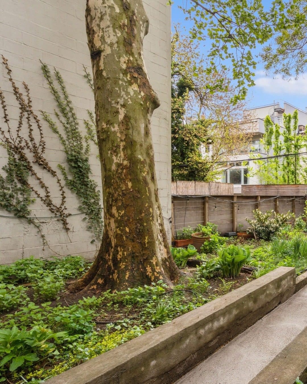 38 Douglass Street — photo 2