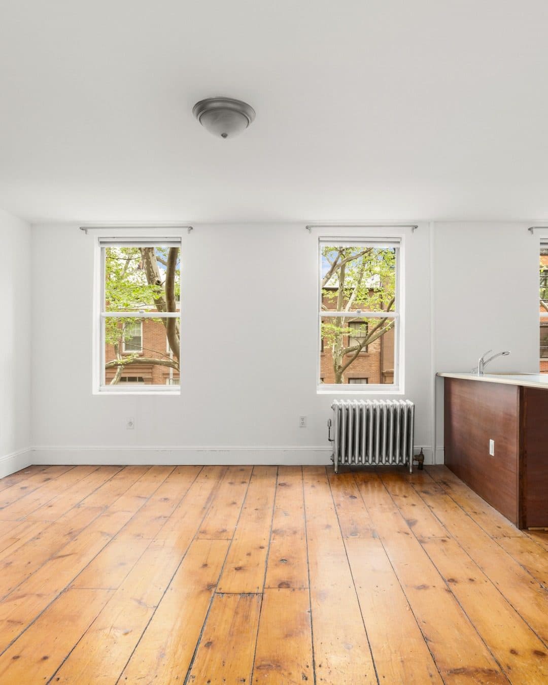 38 Douglass Street — photo 6
