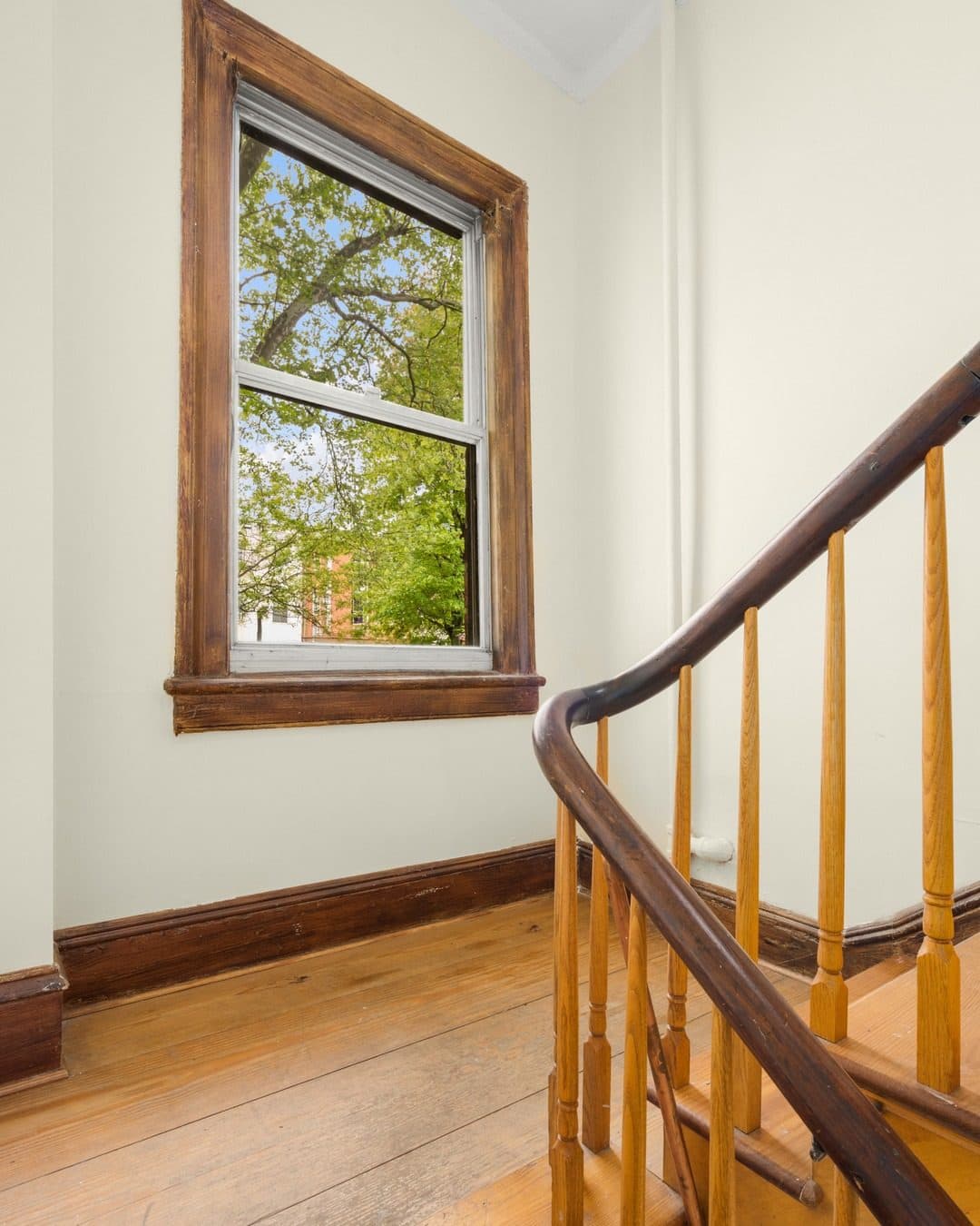 38 Douglass Street — photo 8