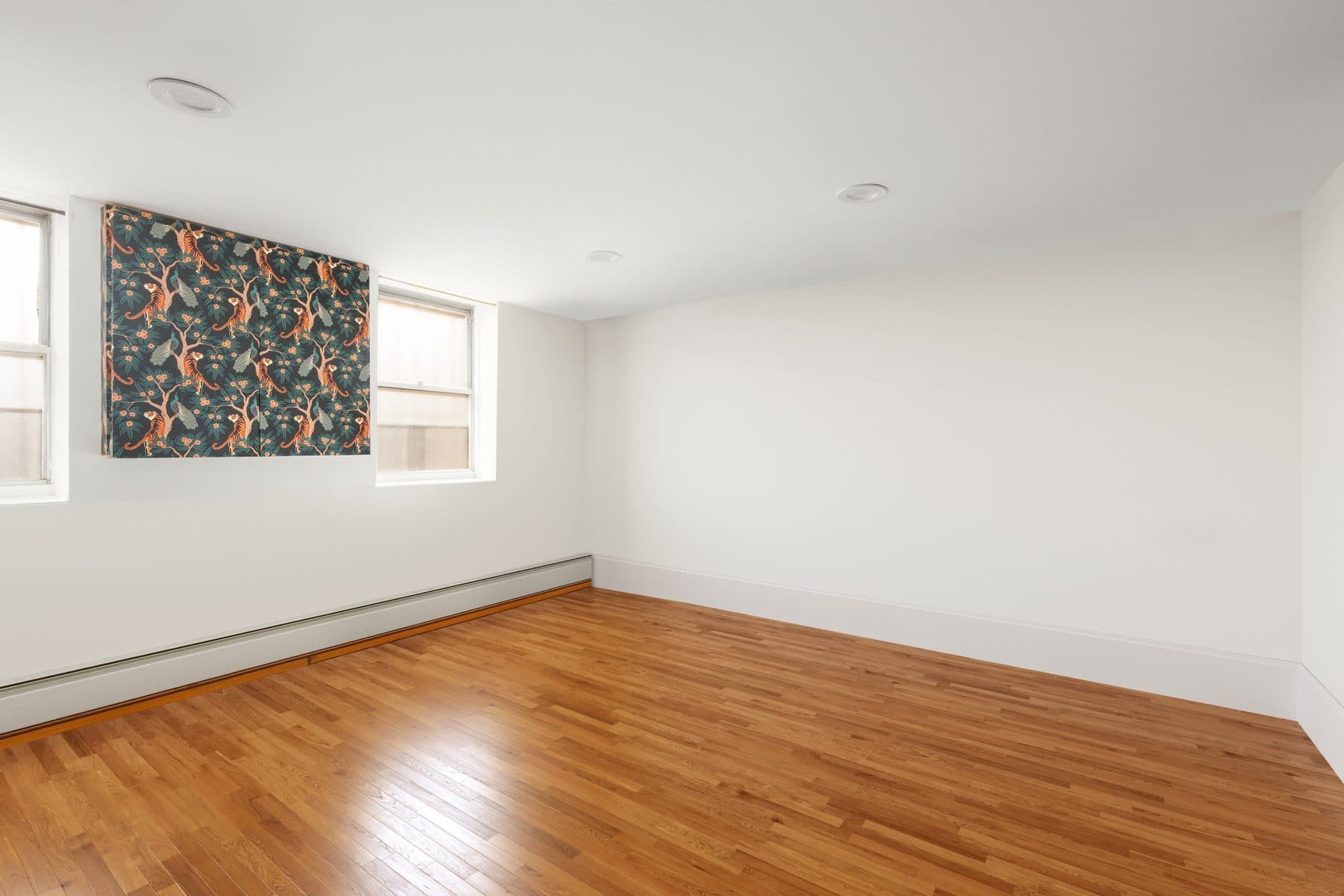 38 Douglass Street — photo 8