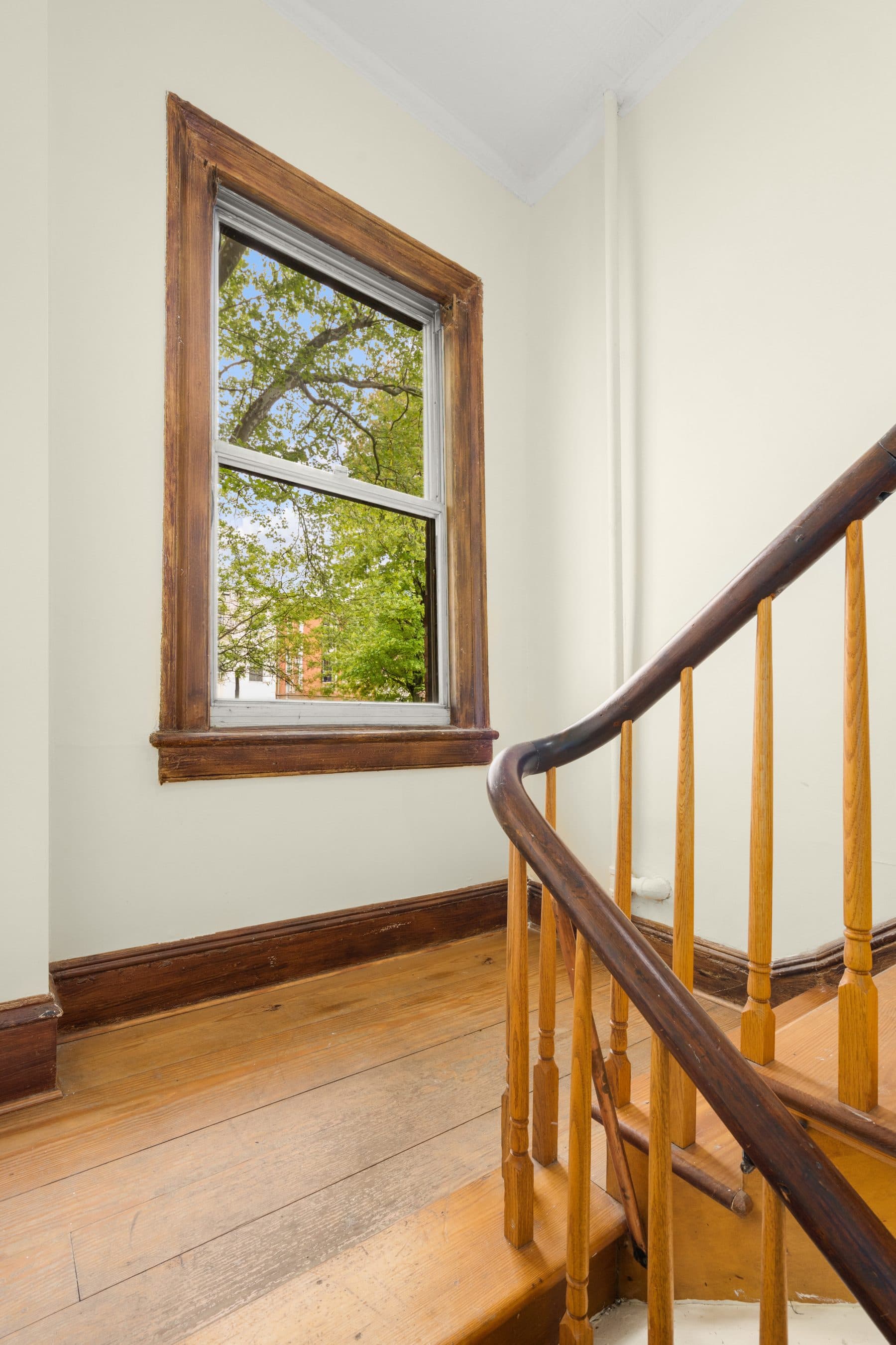 38 Douglass Street — photo 11
