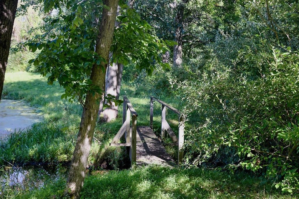 433 Rapp Road North — photo 29