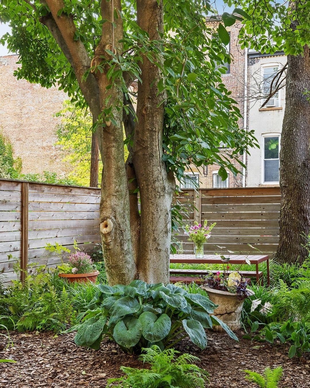 437 MacDonough Street — photo 5