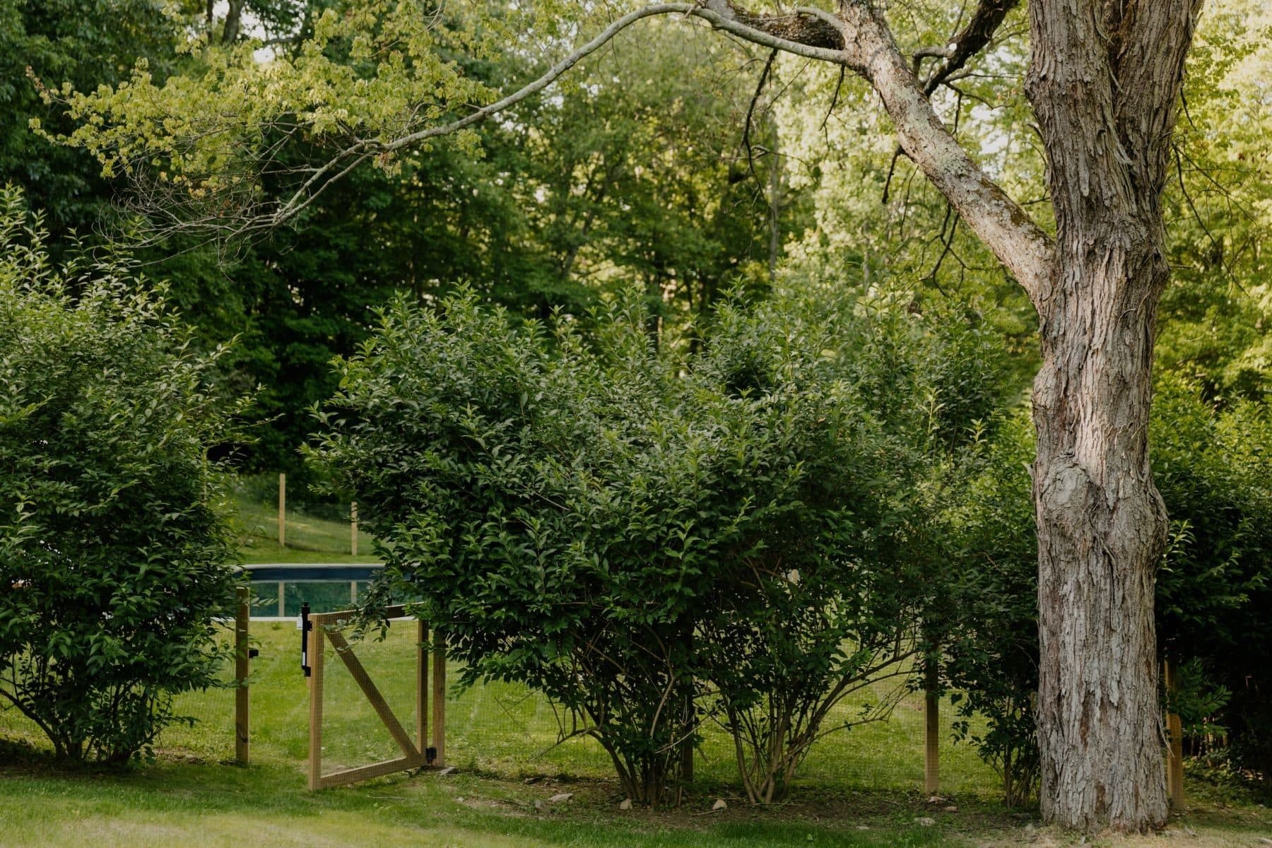 51 Taconic Creek Road — photo 38