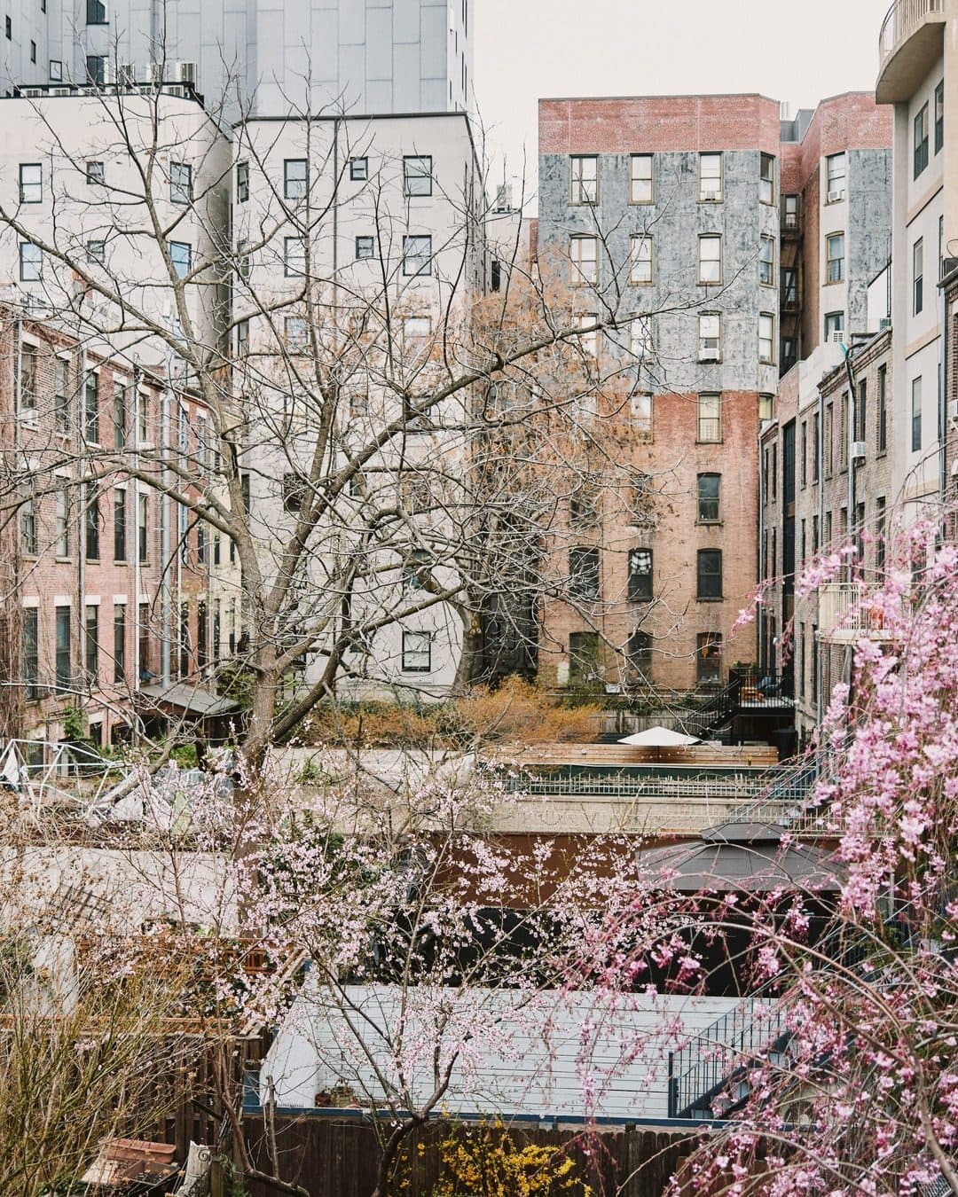 543 Manhattan Avenue — photo 8