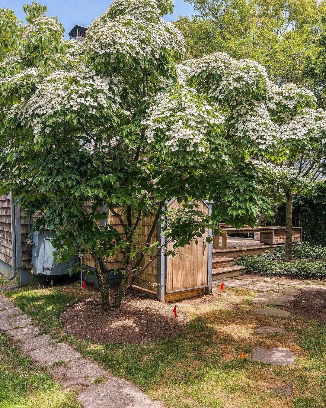 55 Garden Street — photo 10
