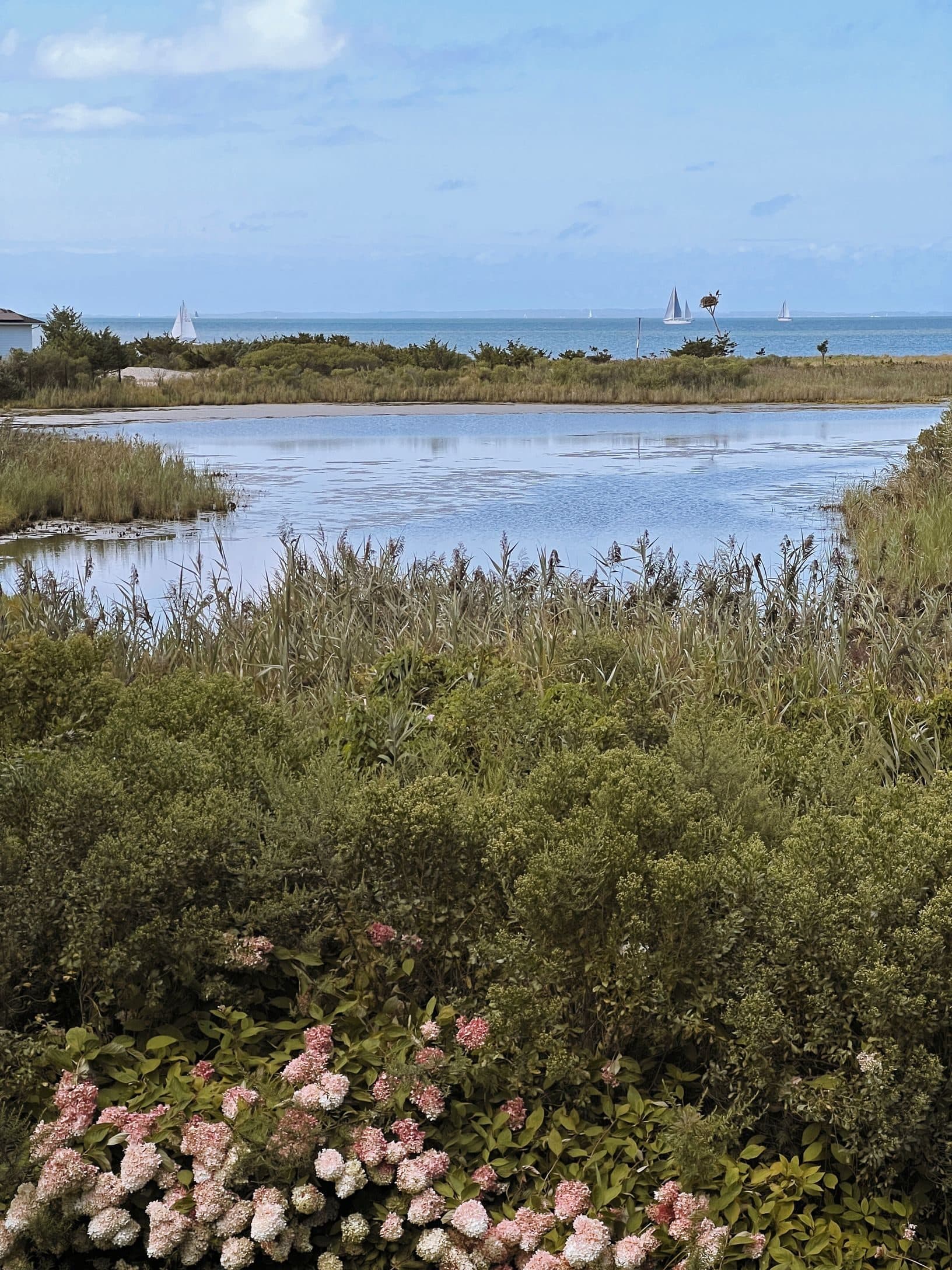 6 Bay Inlet Road — photo 26