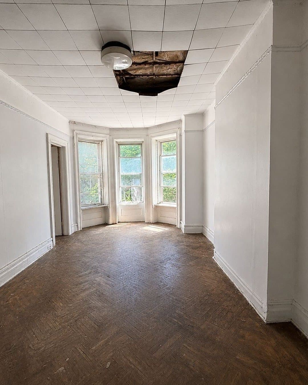 897 Lincoln Place — photo 6