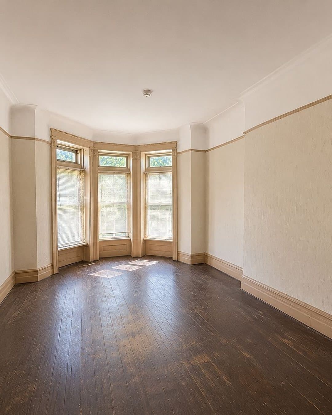 897 Lincoln Place — photo 12