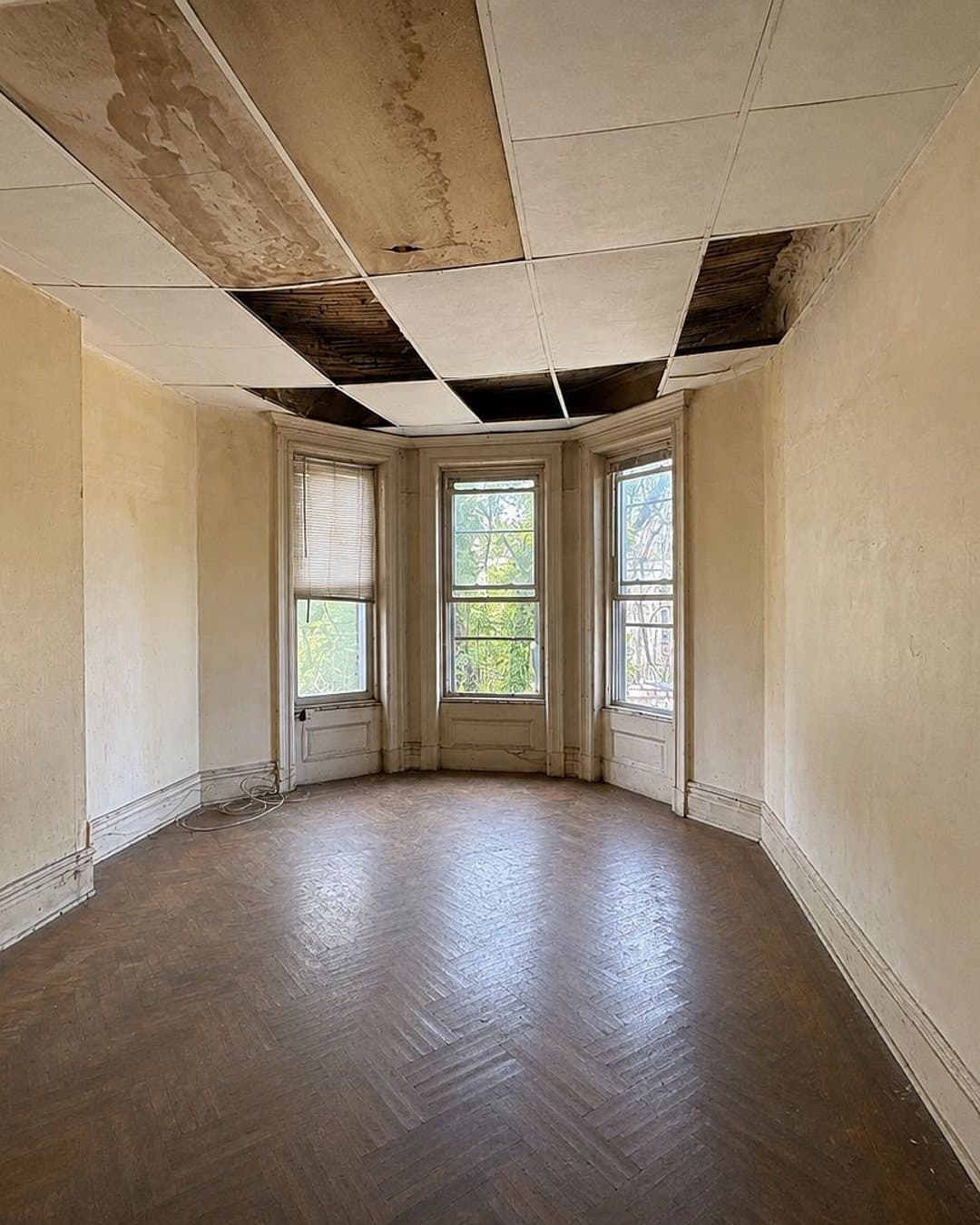 897 Lincoln Place — photo 13