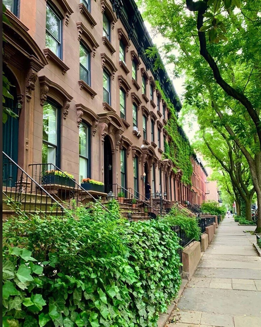 333 Adelphi Street — photo 8