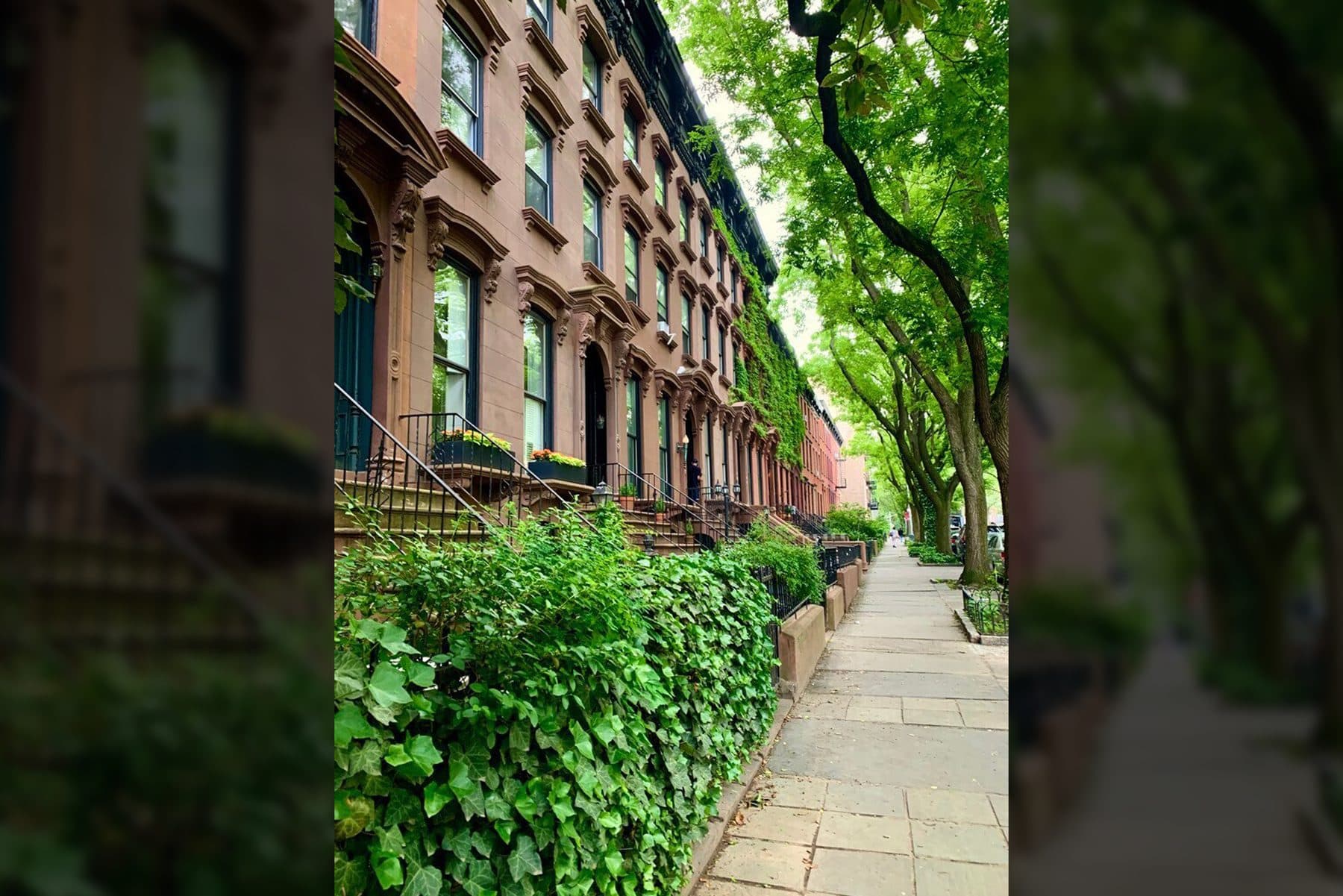 333 Adelphi Street — photo 34