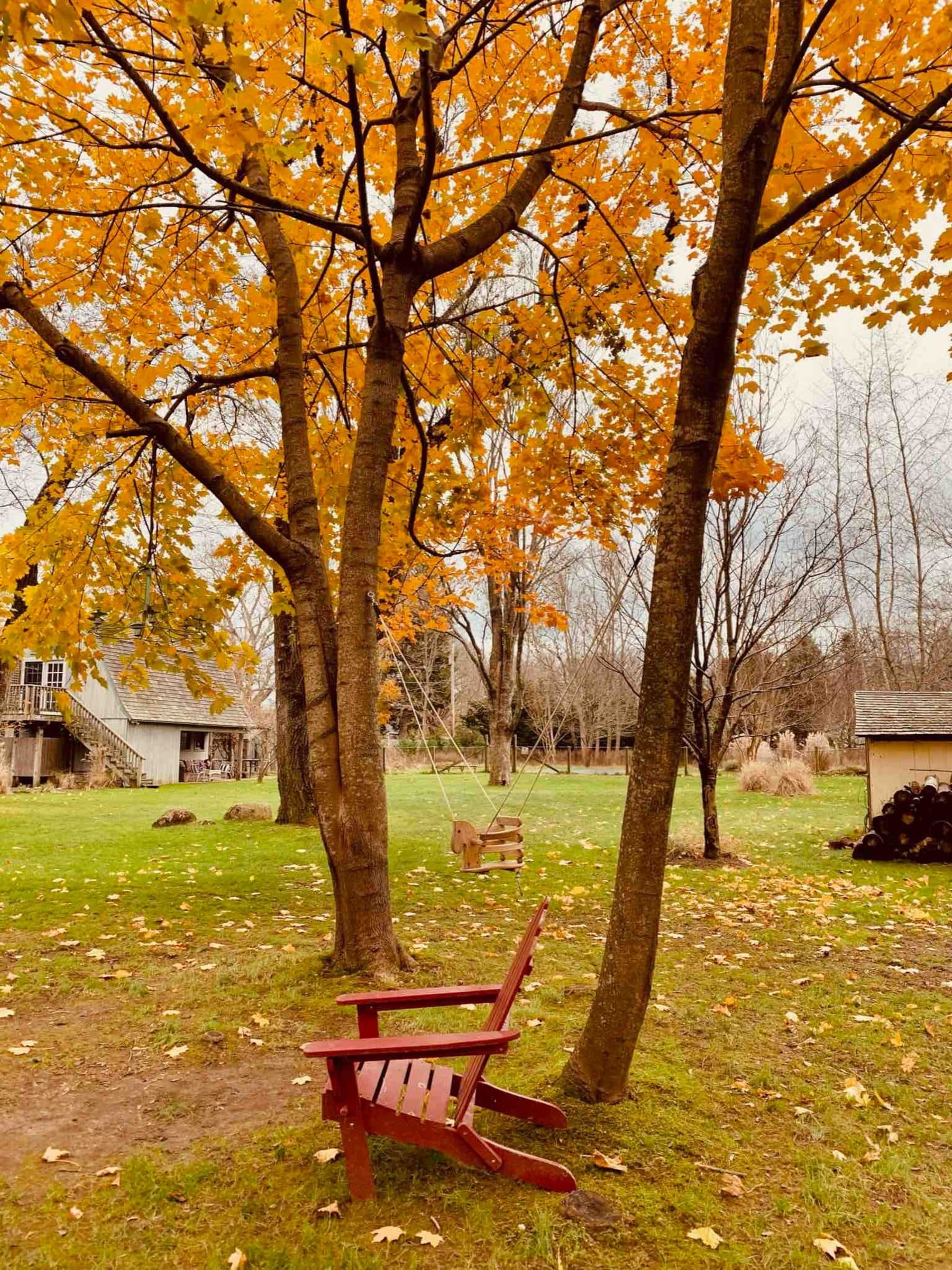 An Airy Barn in Springs — photo 18