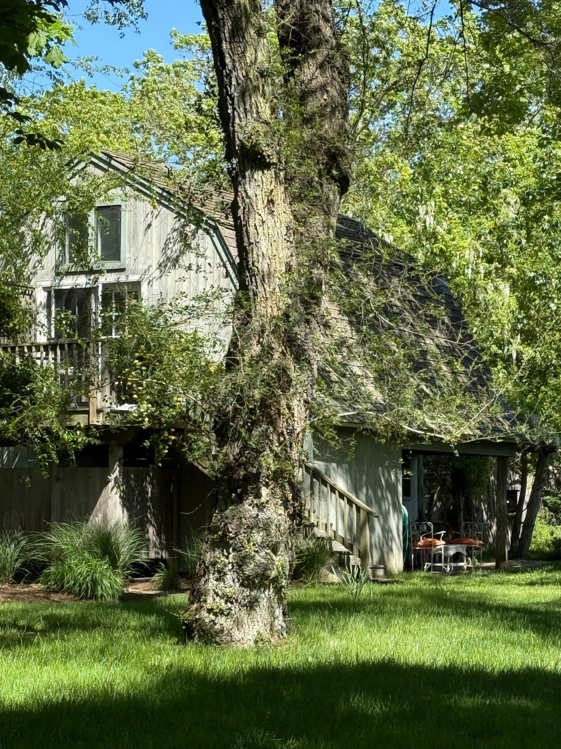 An Airy Barn in Springs — photo 24