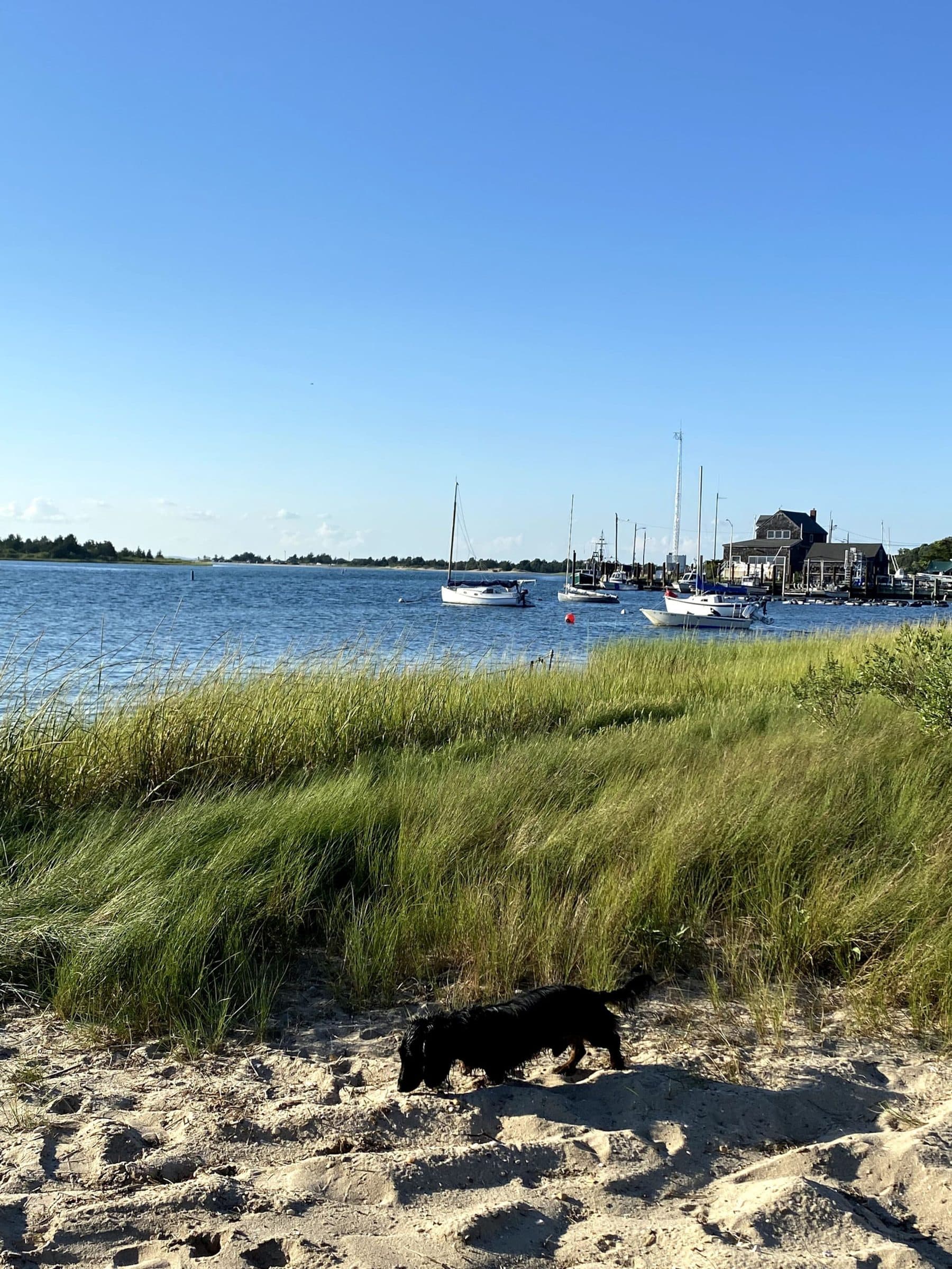 A Cottage by the Bay, Springs — photo 24