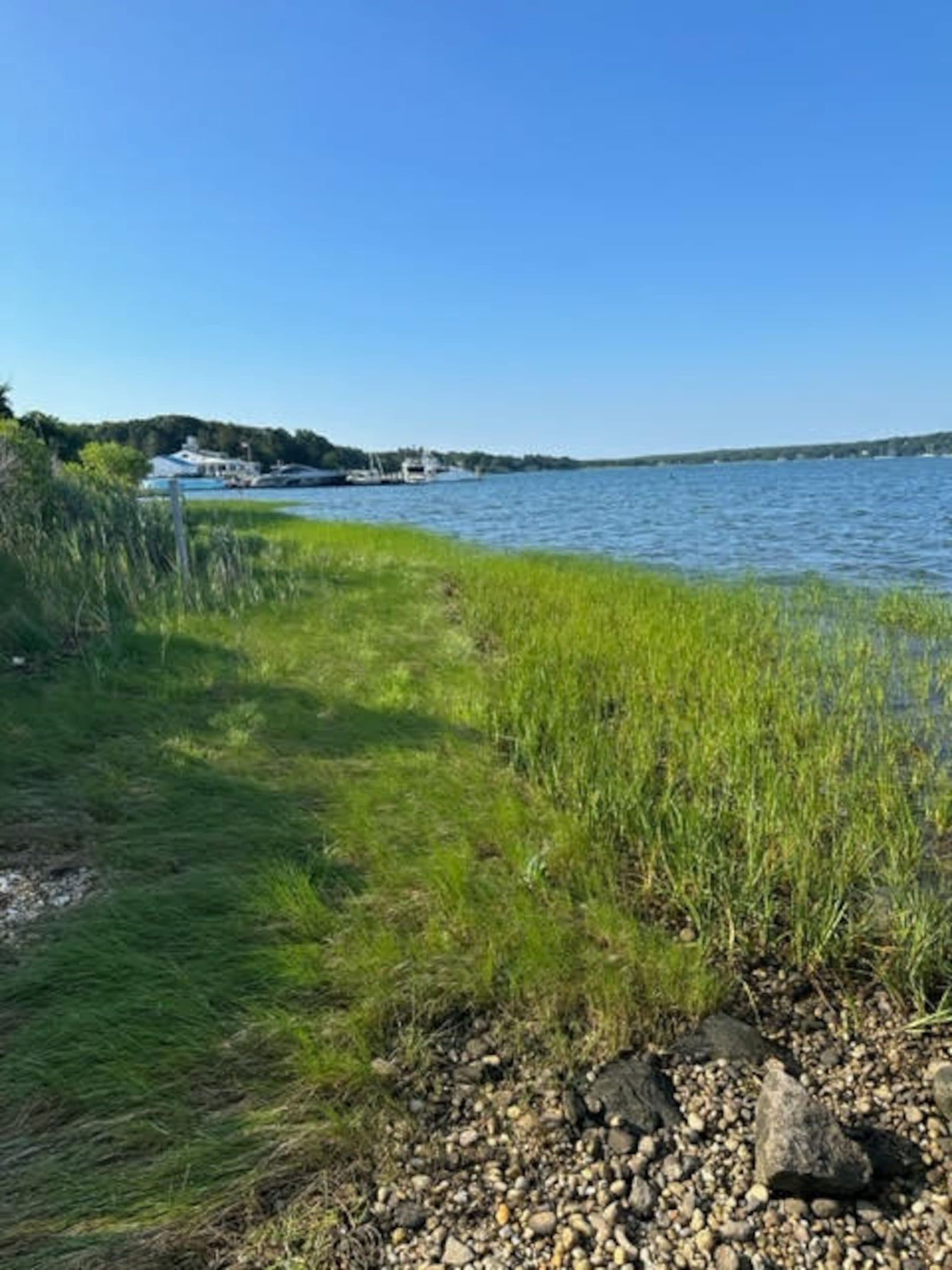 A Cottage by the Bay, Springs — photo 25