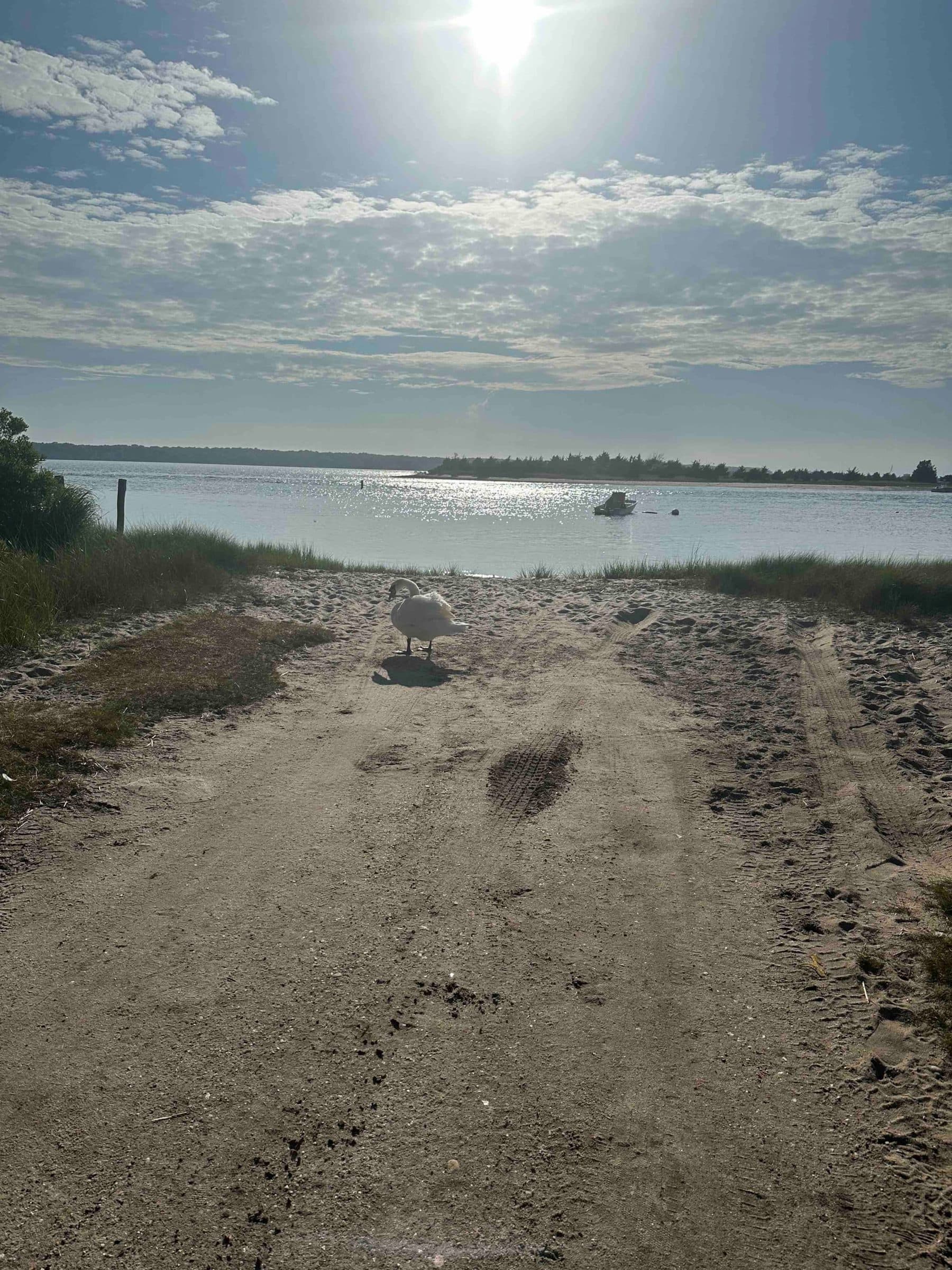 A Cottage by the Bay, Springs — photo 27