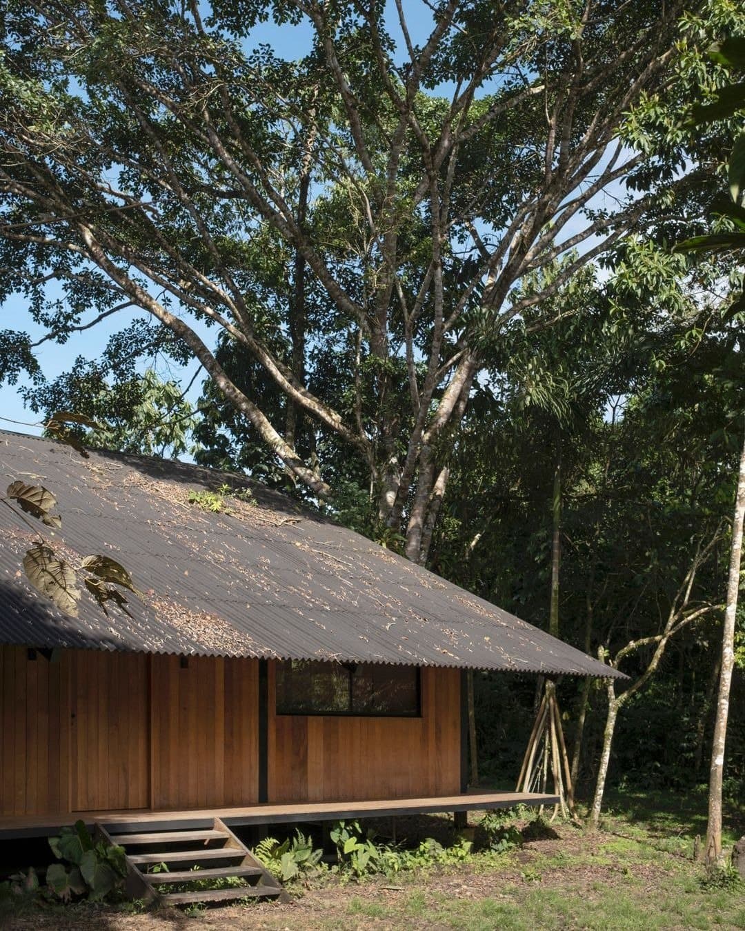 Casa Manire — photo 9