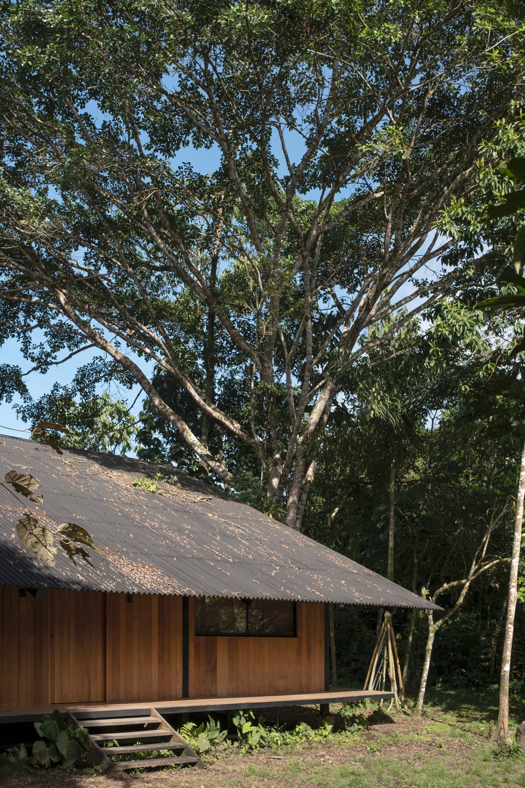 Casa Manire — photo 2