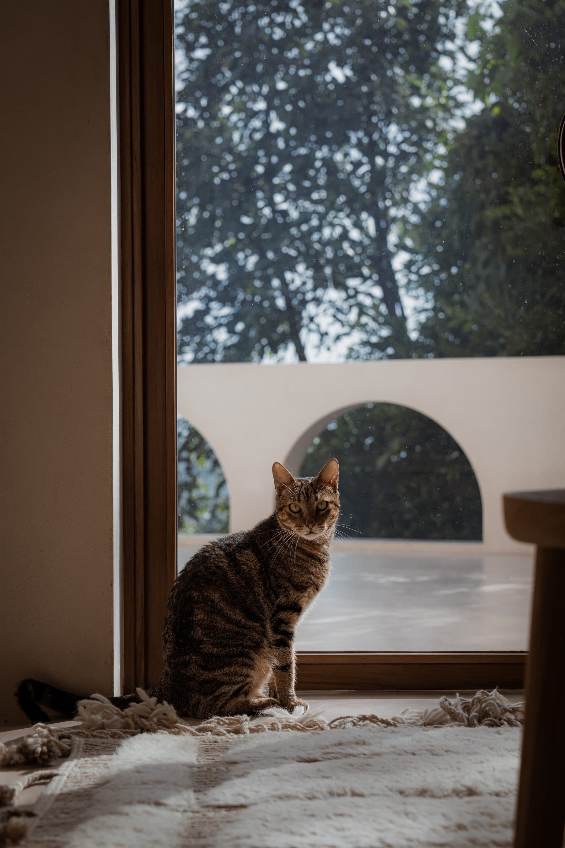 Casa Nueve — photo 18