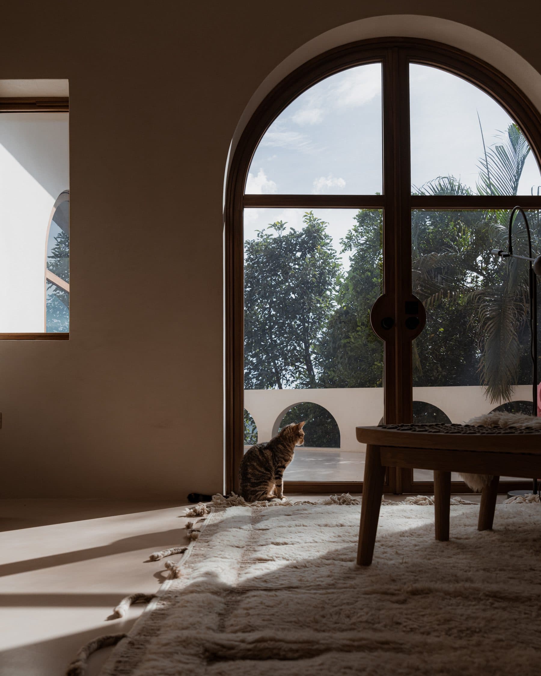 Casa Nueve — photo 19