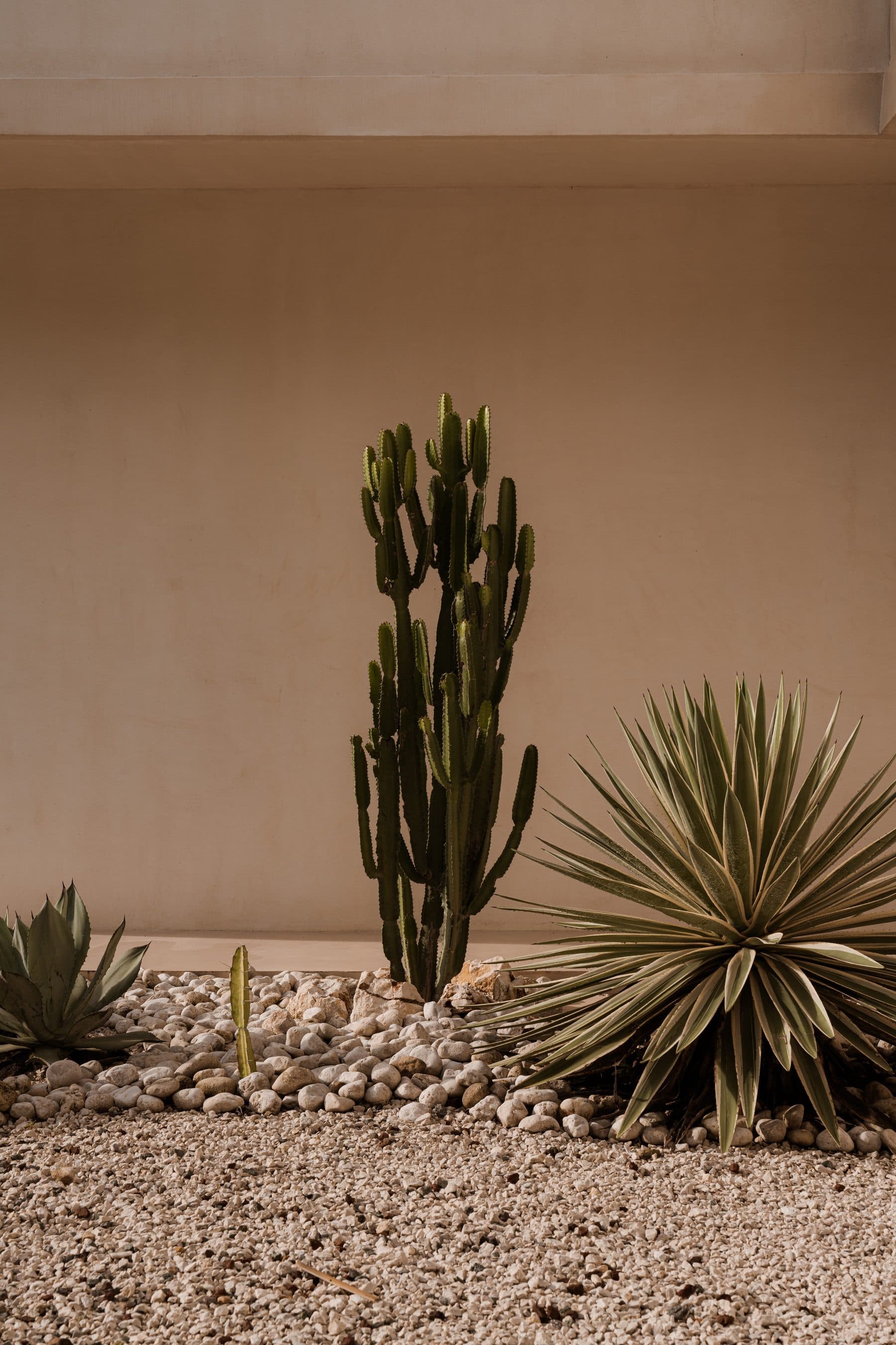 Casa Nueve — photo 66