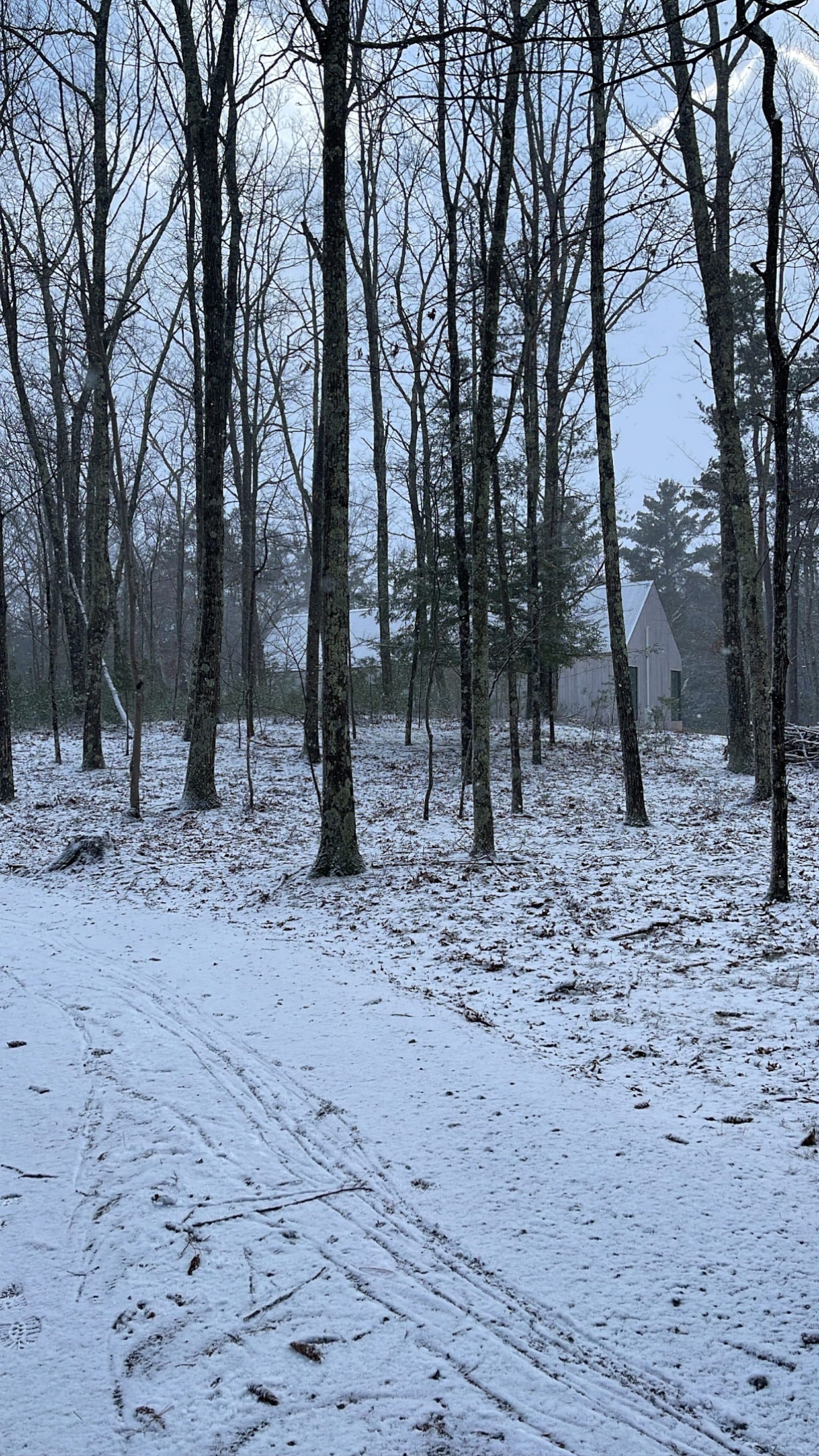 Noctis Haus — photo 40