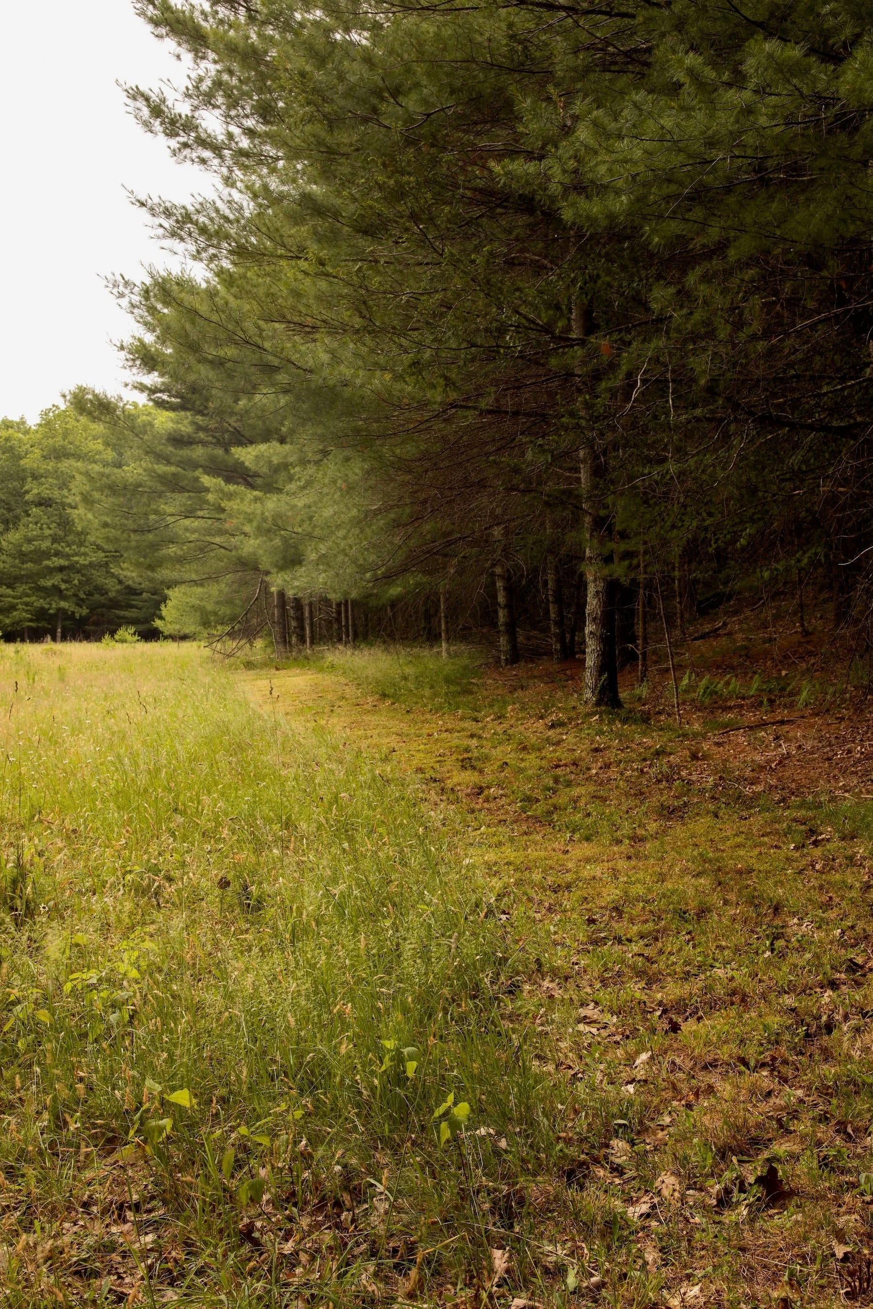 Ohayo Mountain House, Woodstock — photo 41