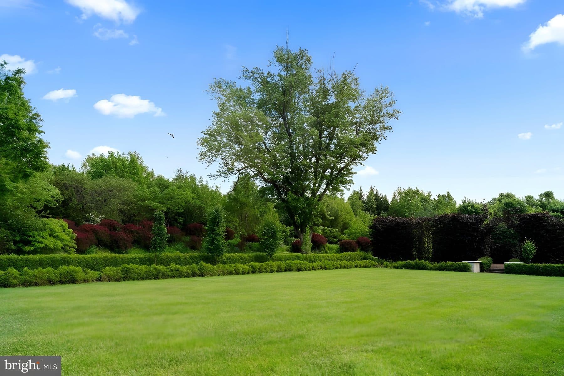 6764 Paxson Road — photo 4