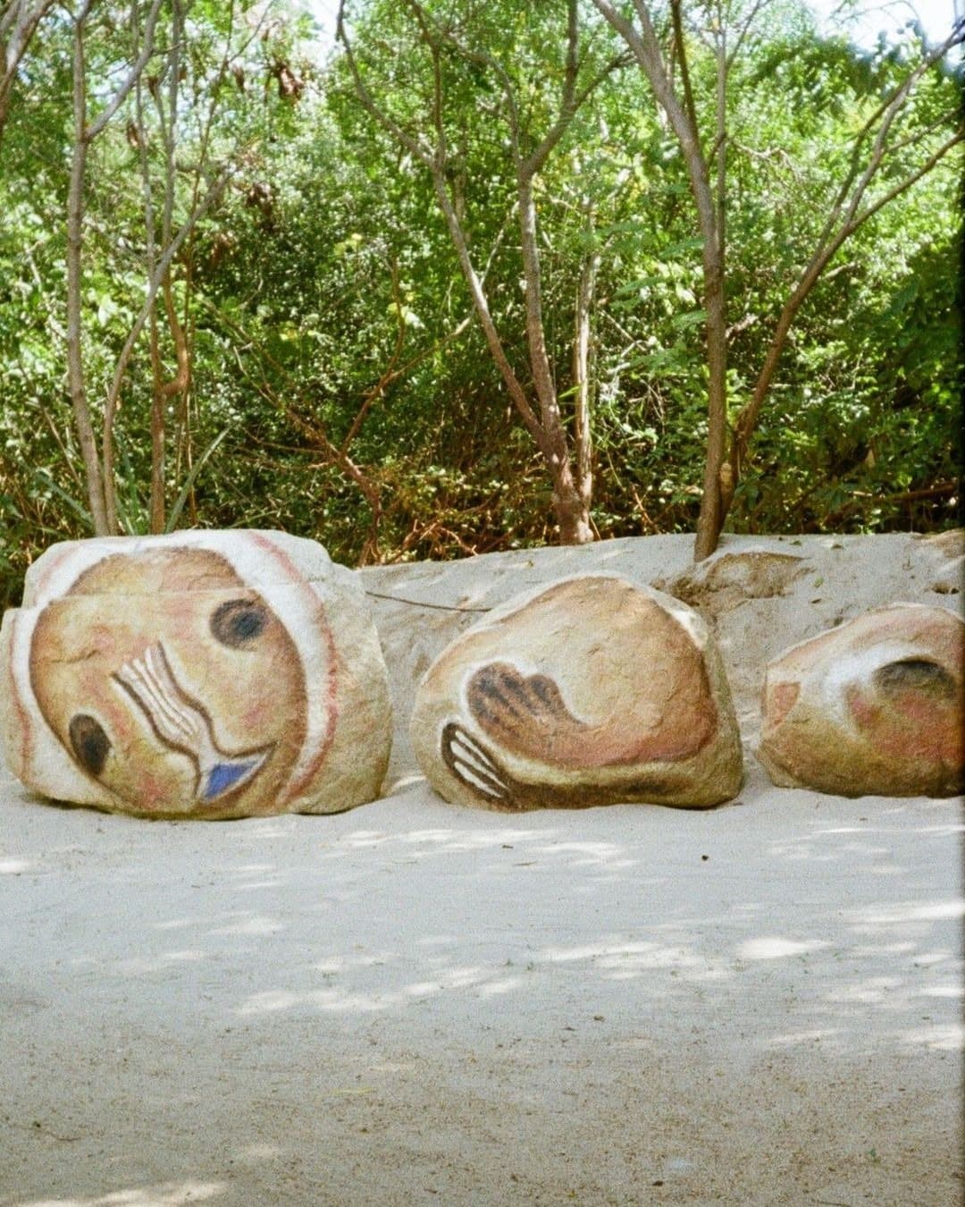 Punta Pájaros — photo 6