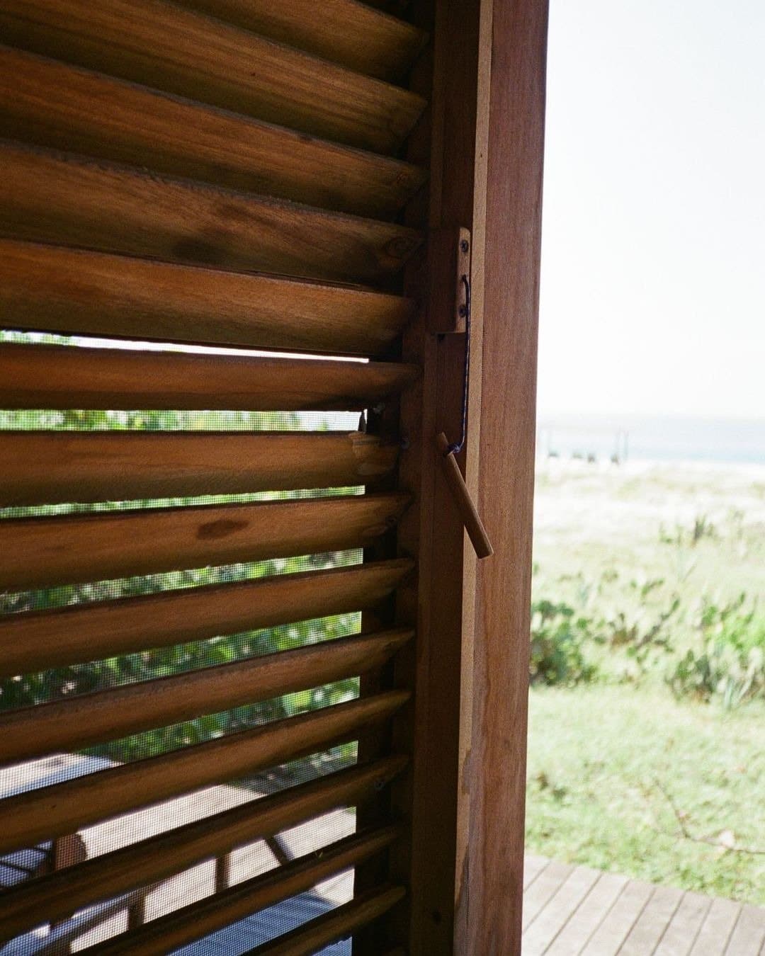 Punta Pájaros — photo 13