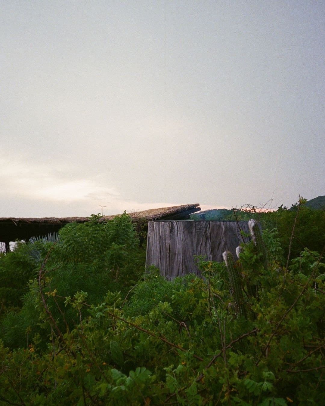 Punta Pájaros — photo 14
