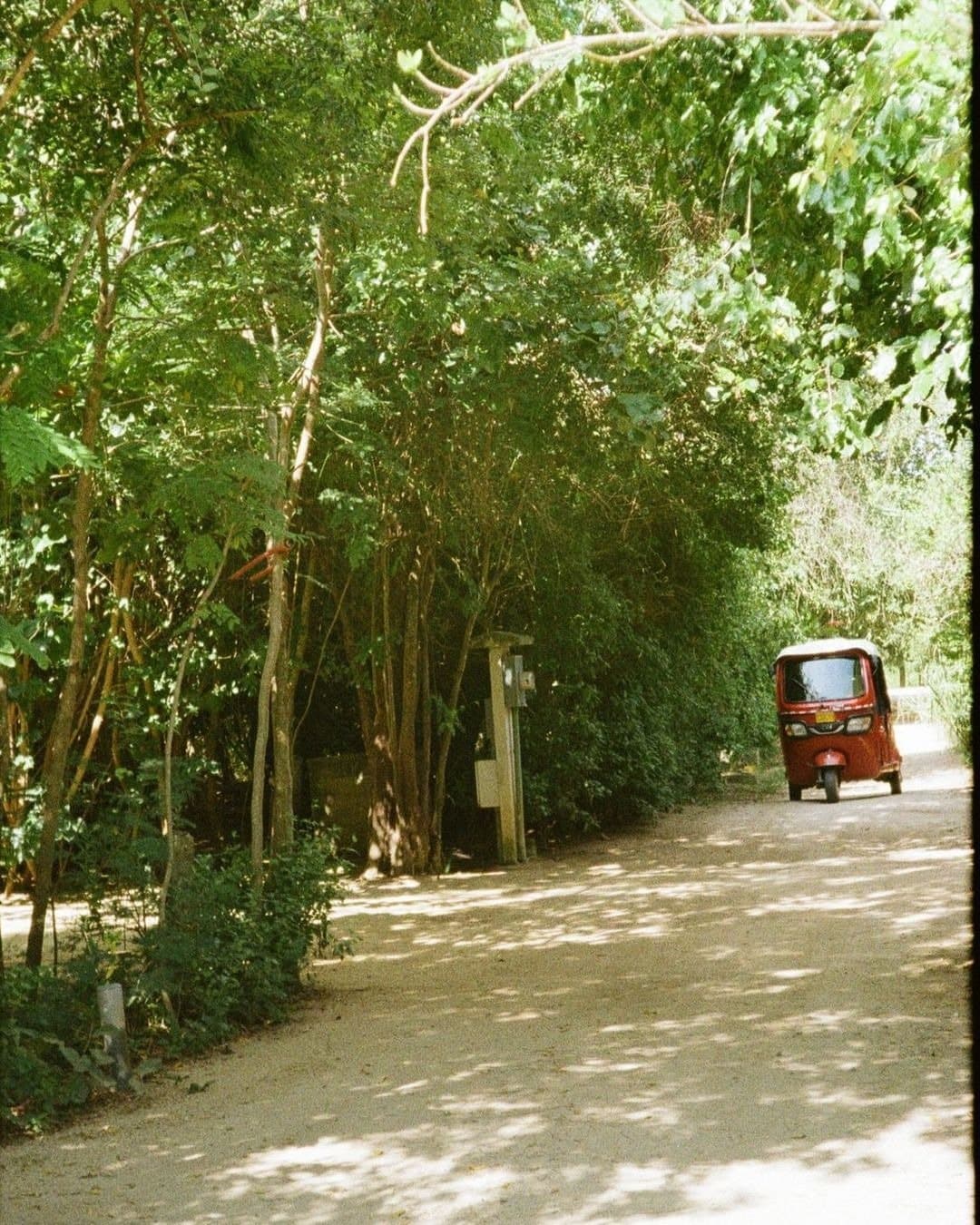 Punta Pájaros — photo 15