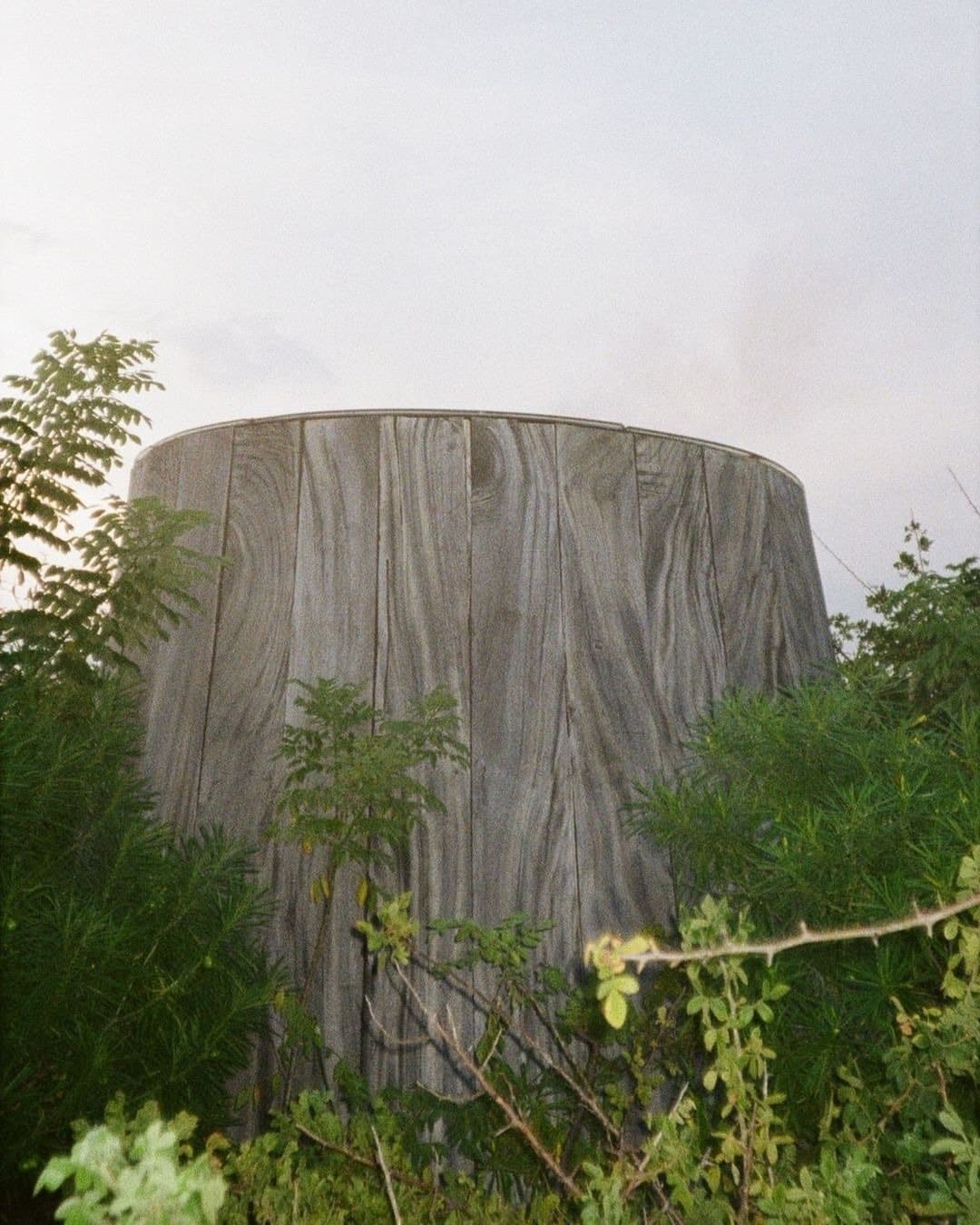 Punta Pájaros — photo 16