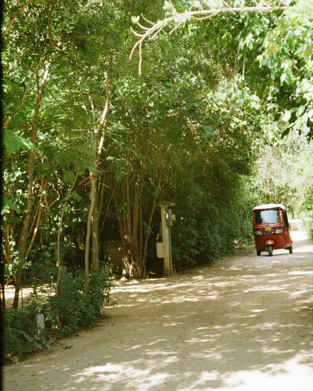 Punta Pájaros — photo 19