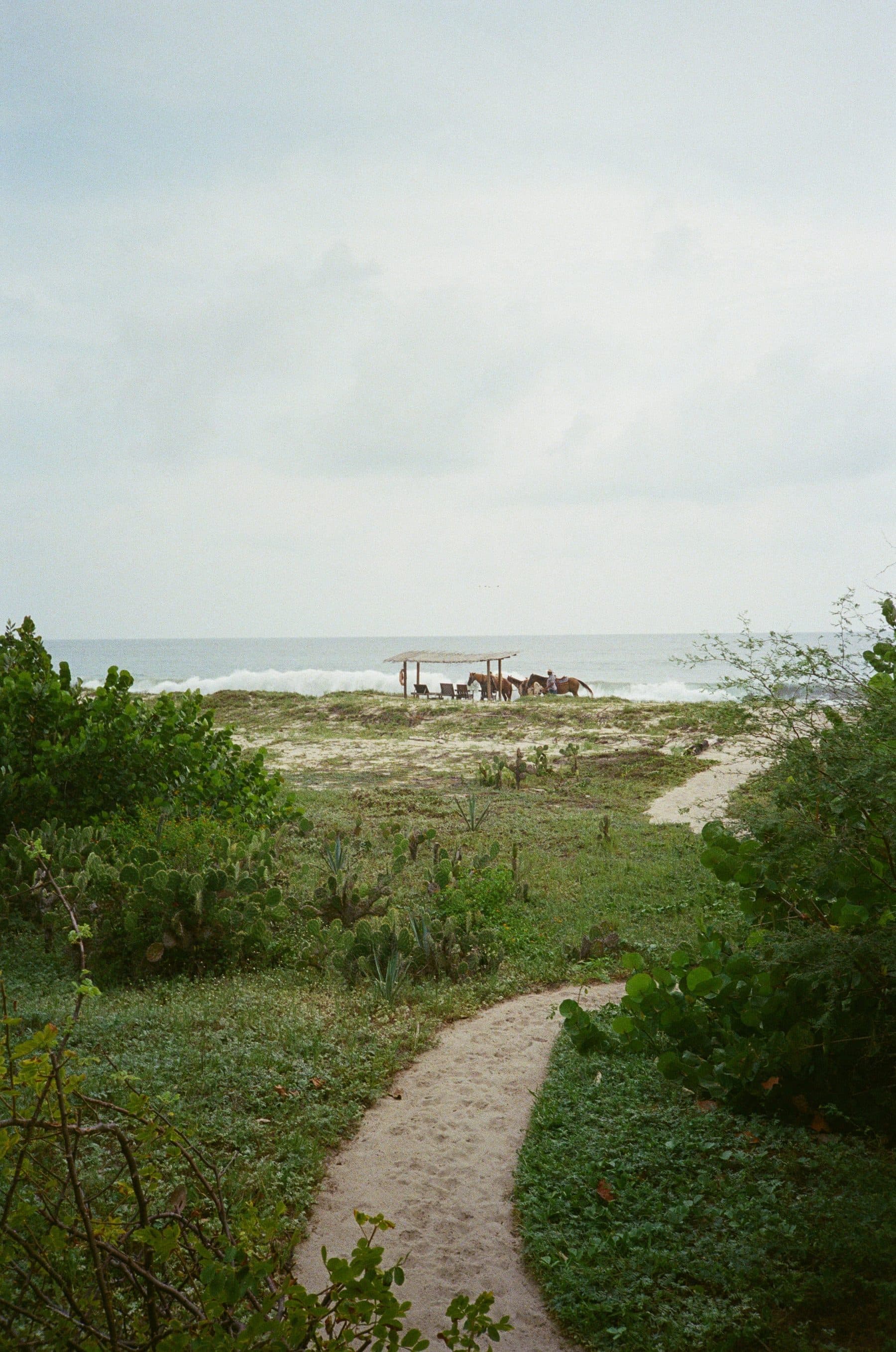 Punta Pájaros — photo 12