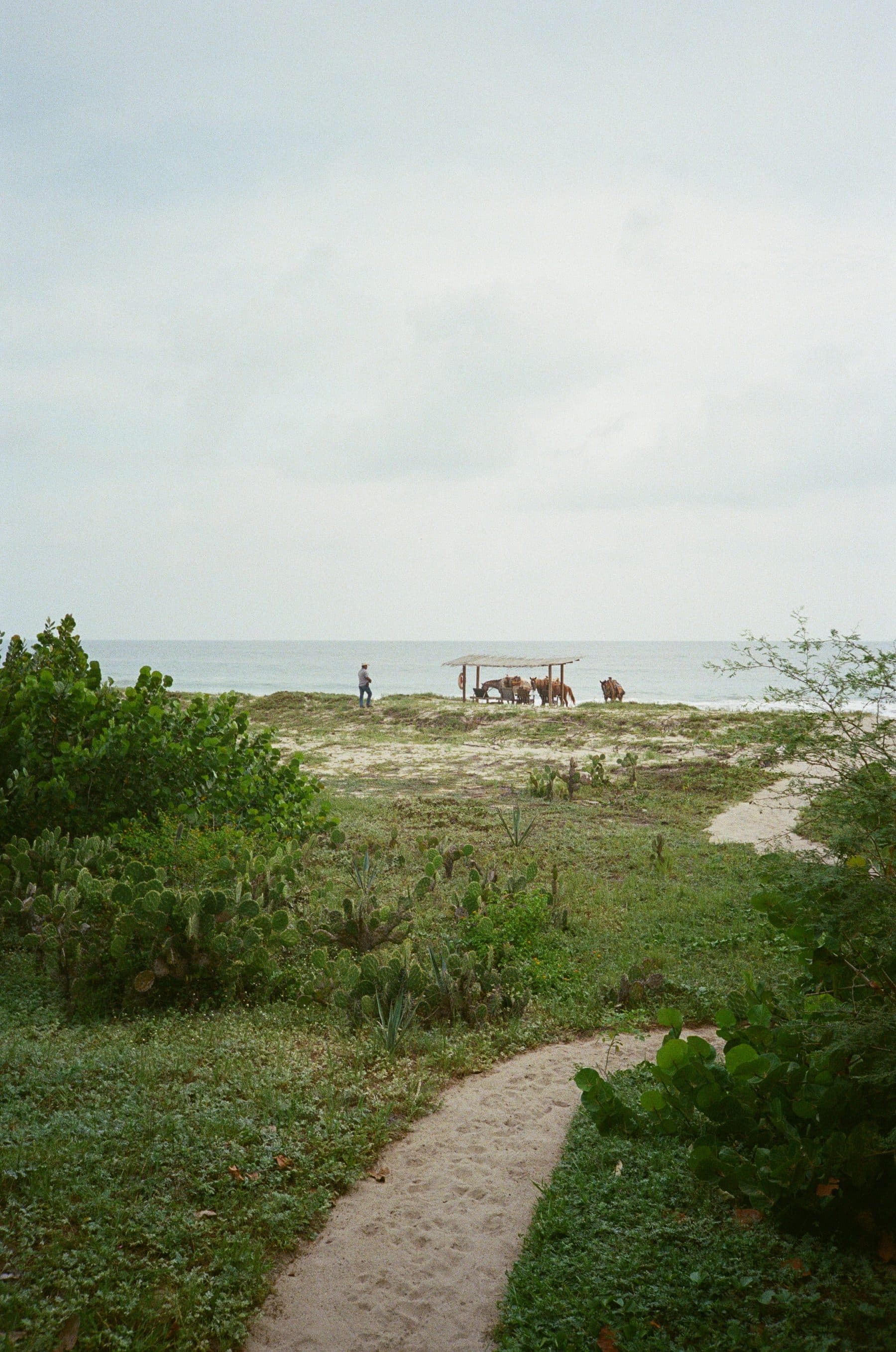 Punta Pájaros — photo 13