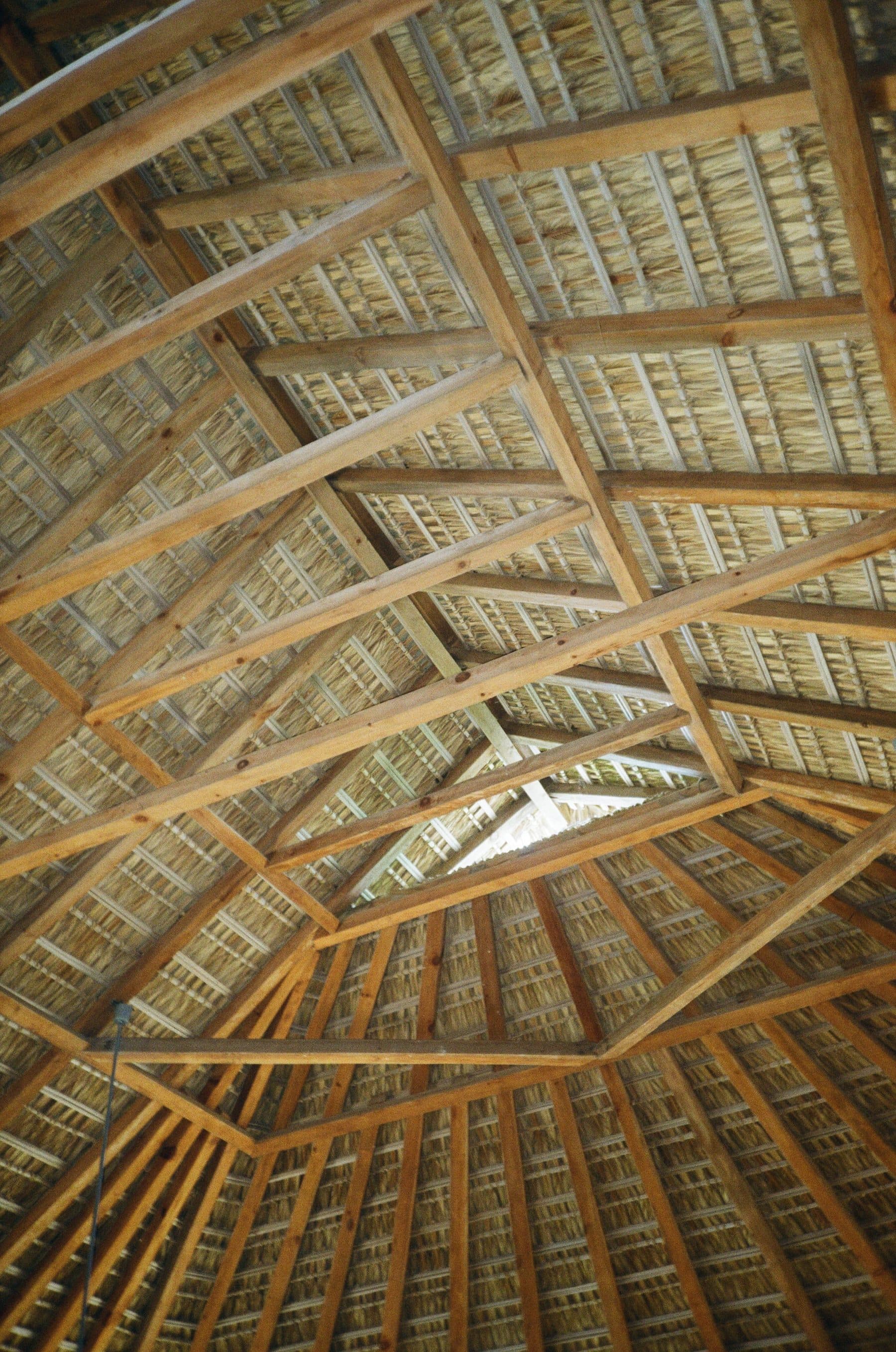 Punta Pájaros — photo 25